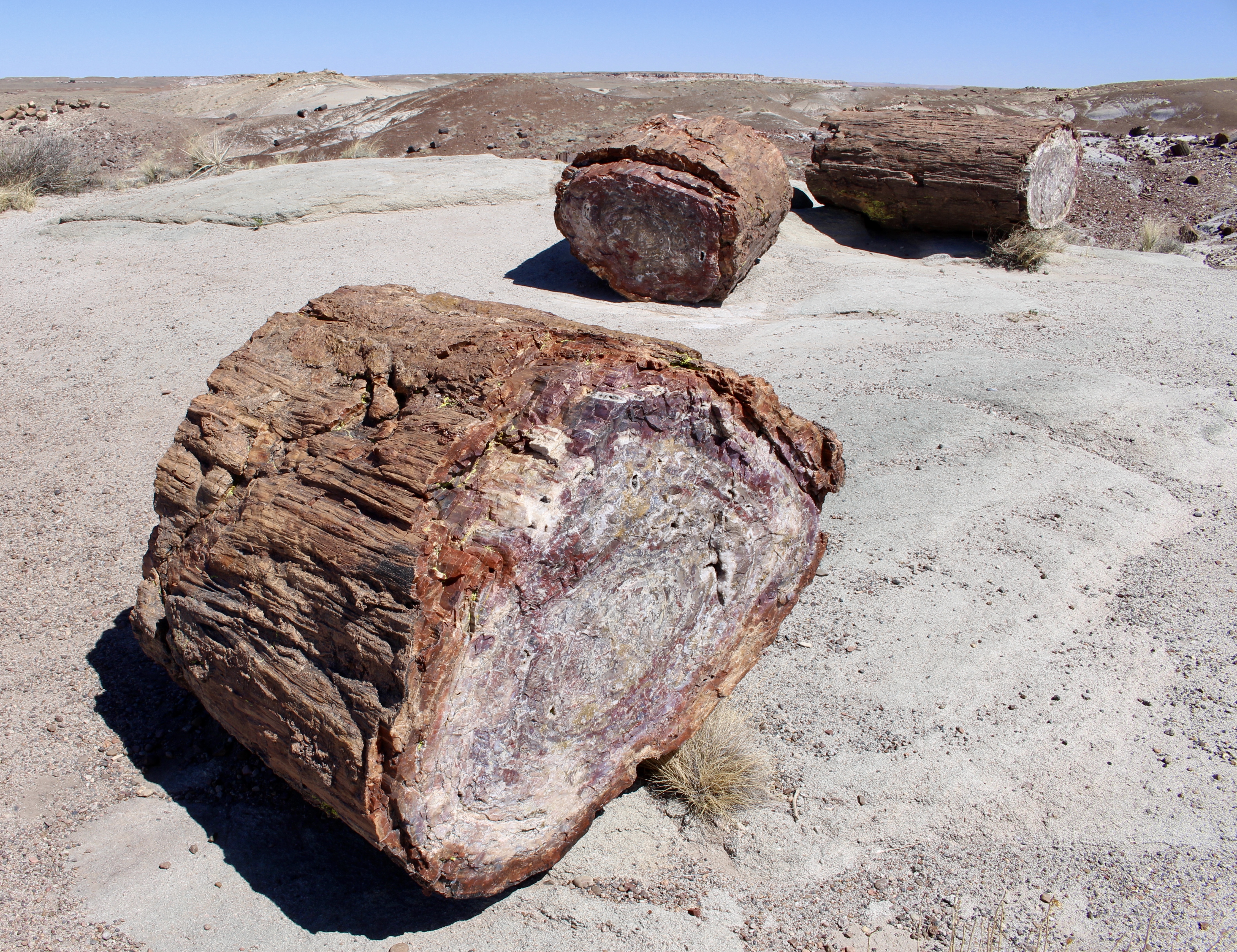 fullsizeoutput_151a0