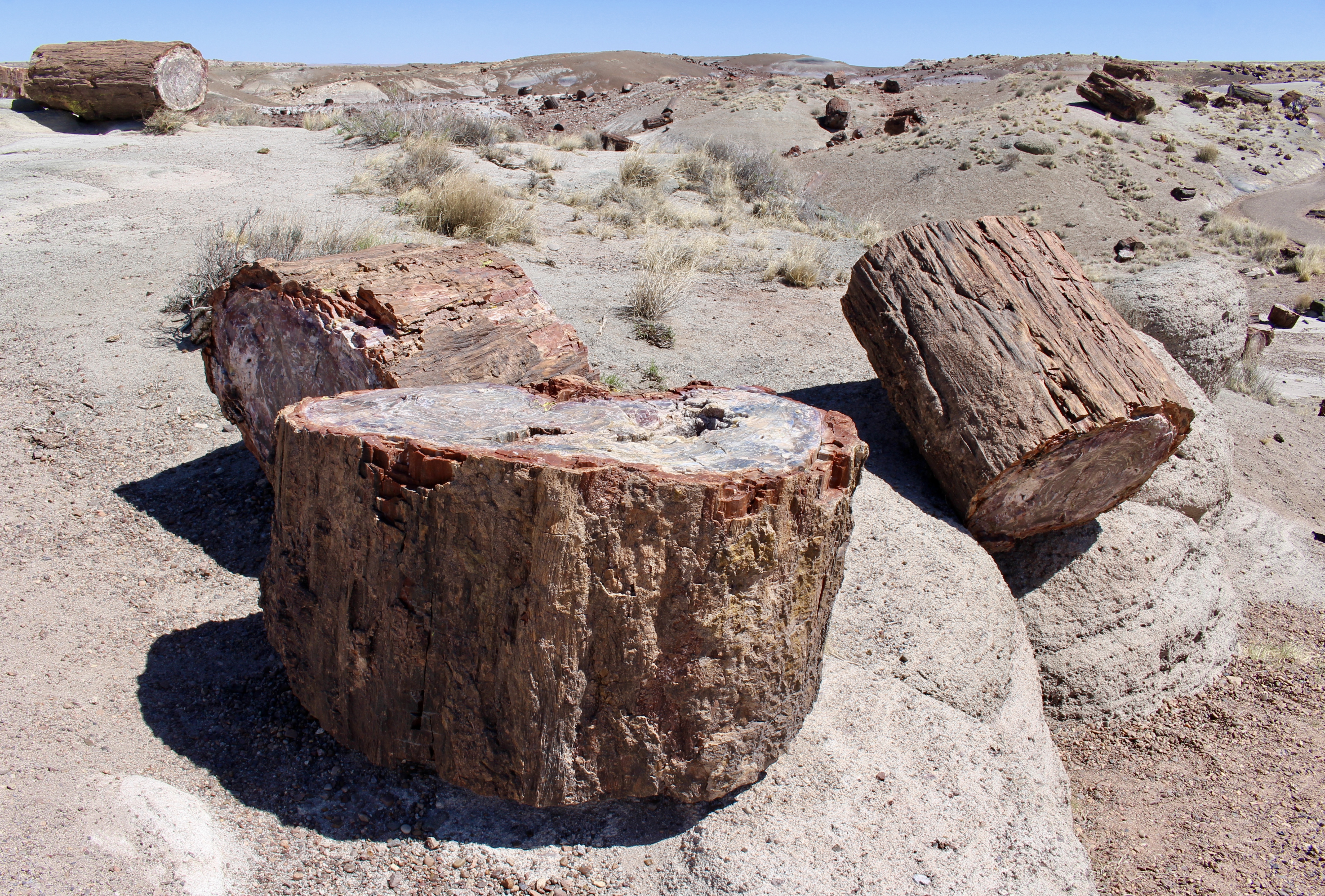 fullsizeoutput_151a2