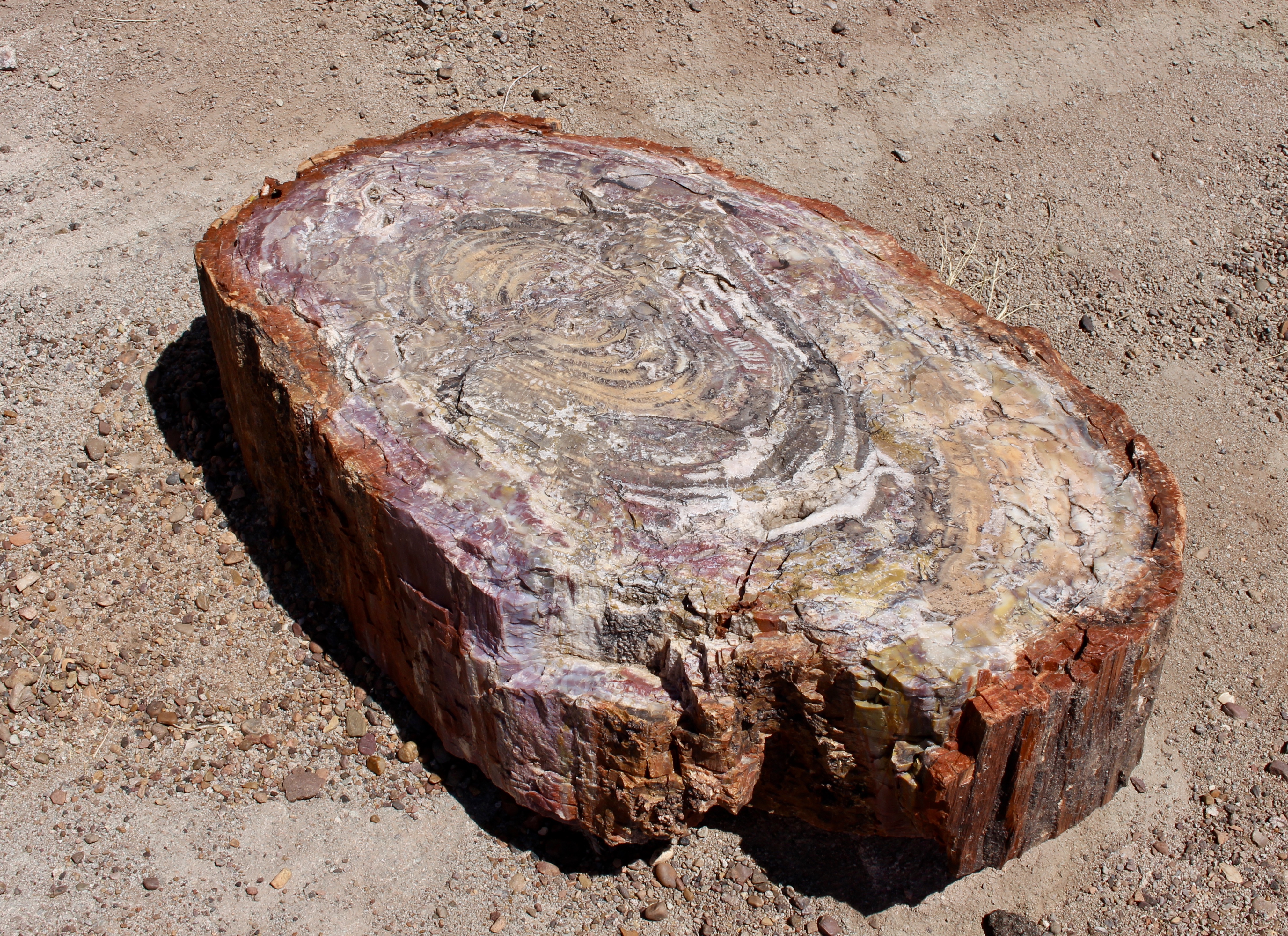 fullsizeoutput_151be