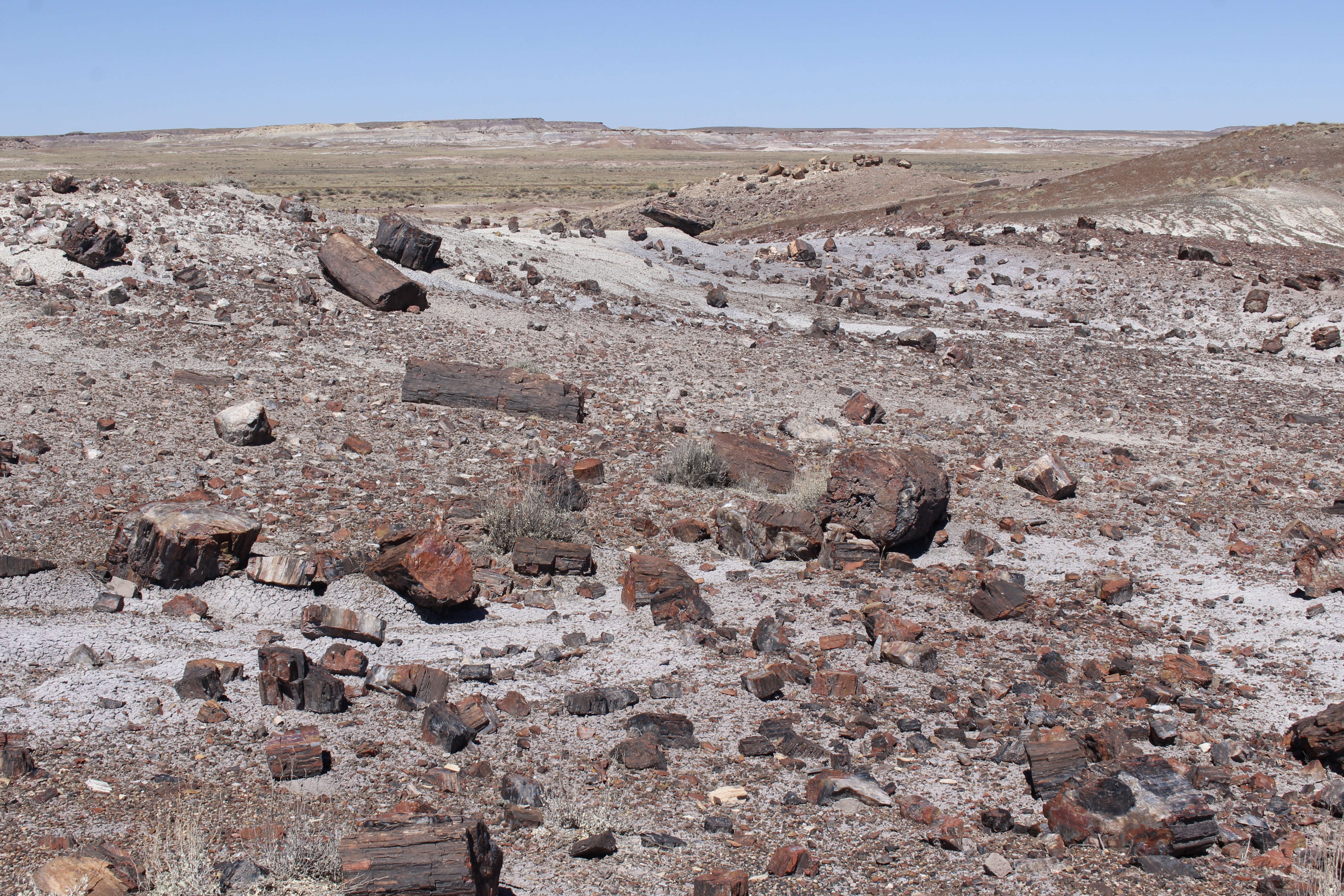 fullsizeoutput_151c0