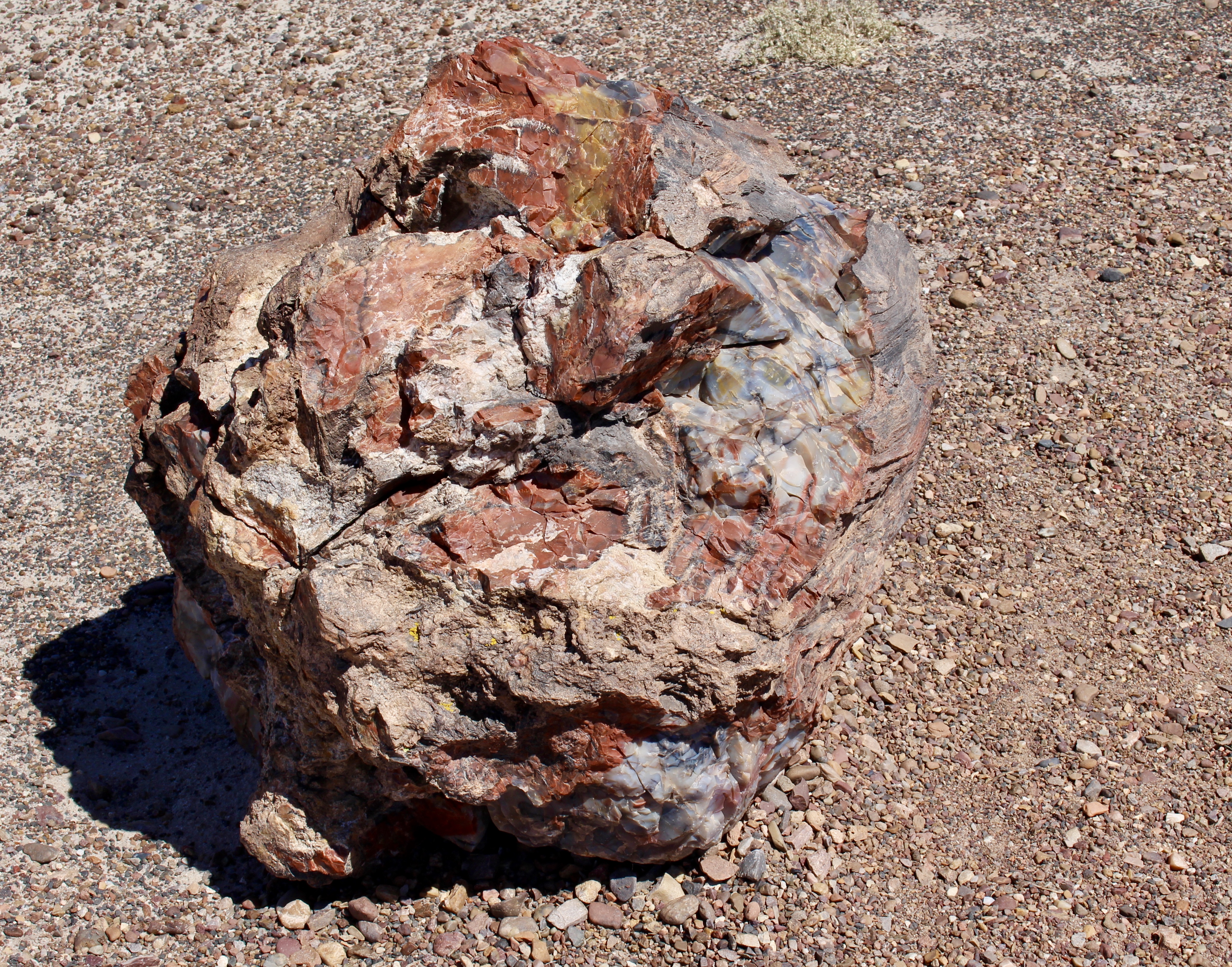 fullsizeoutput_151cb