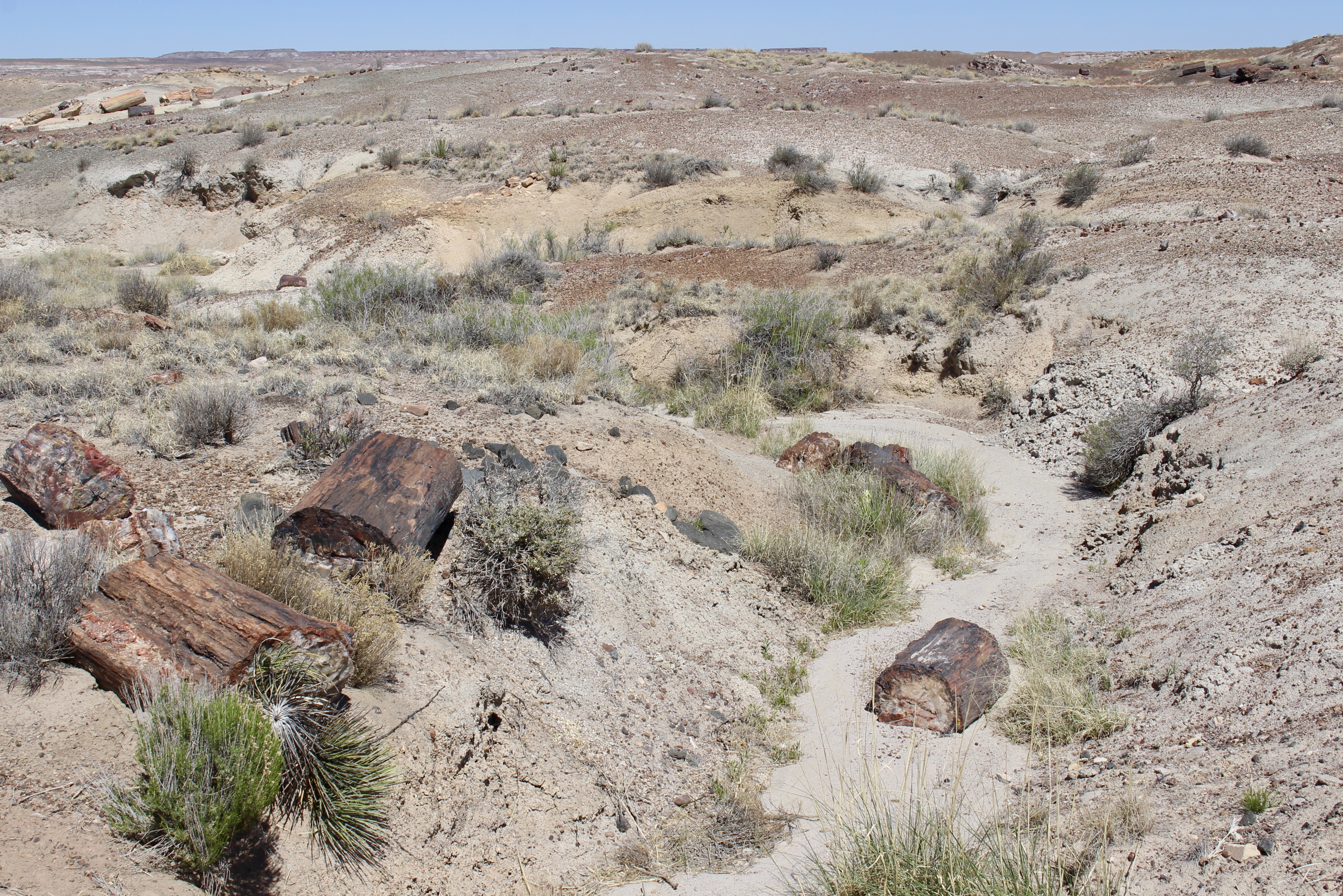 fullsizeoutput_151cc