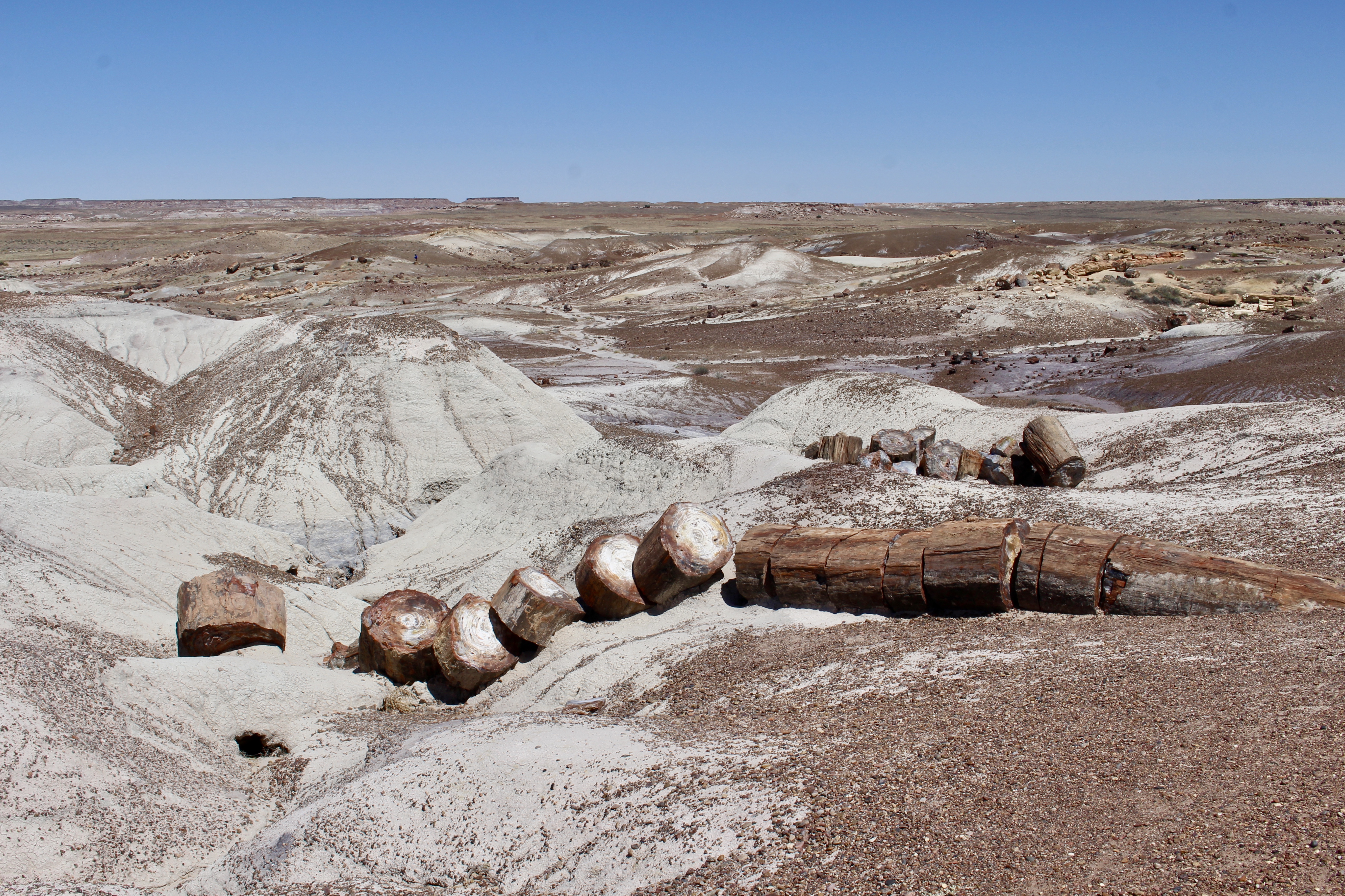 fullsizeoutput_151d4