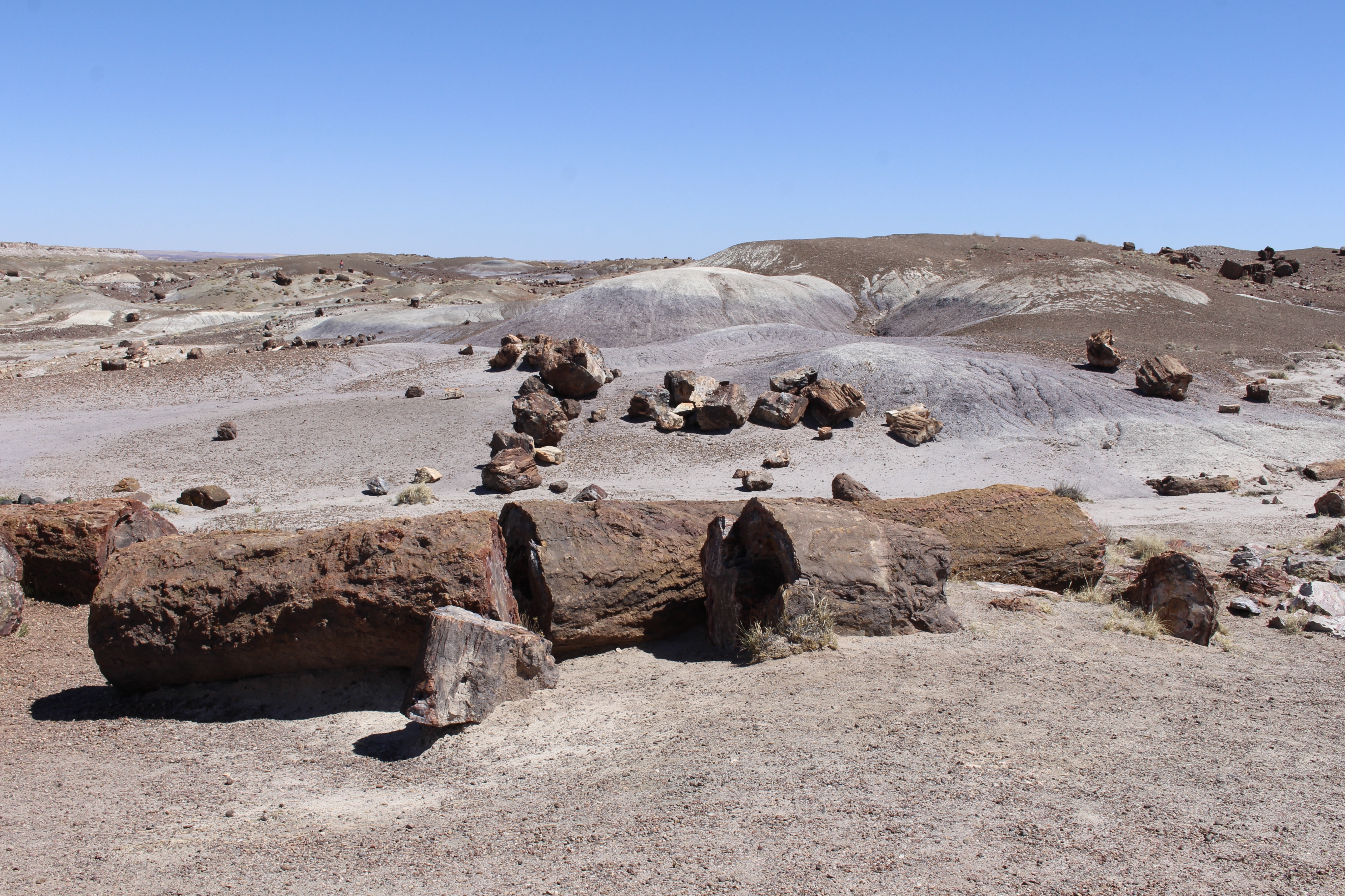 fullsizeoutput_151db