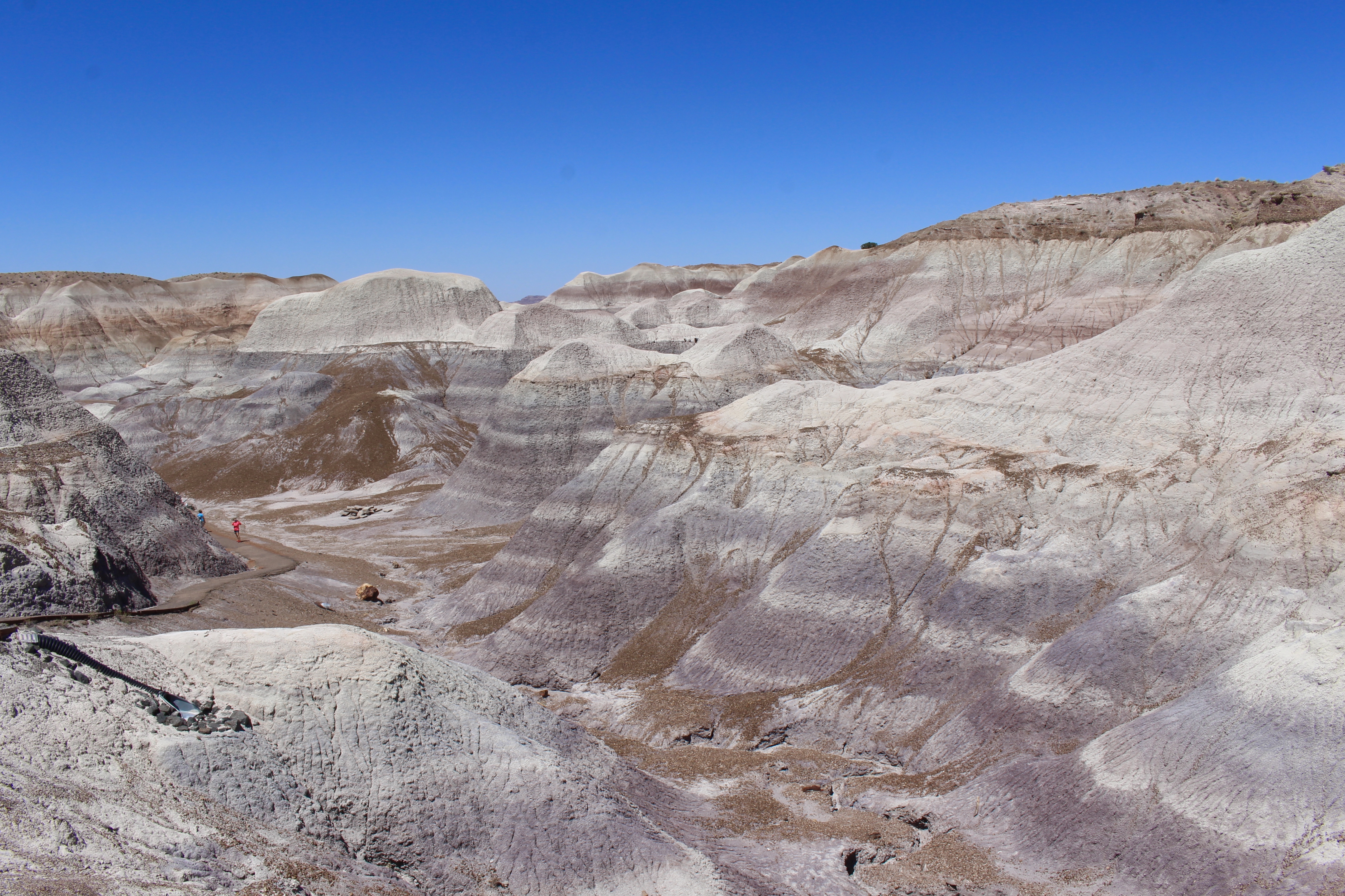 fullsizeoutput_151ea