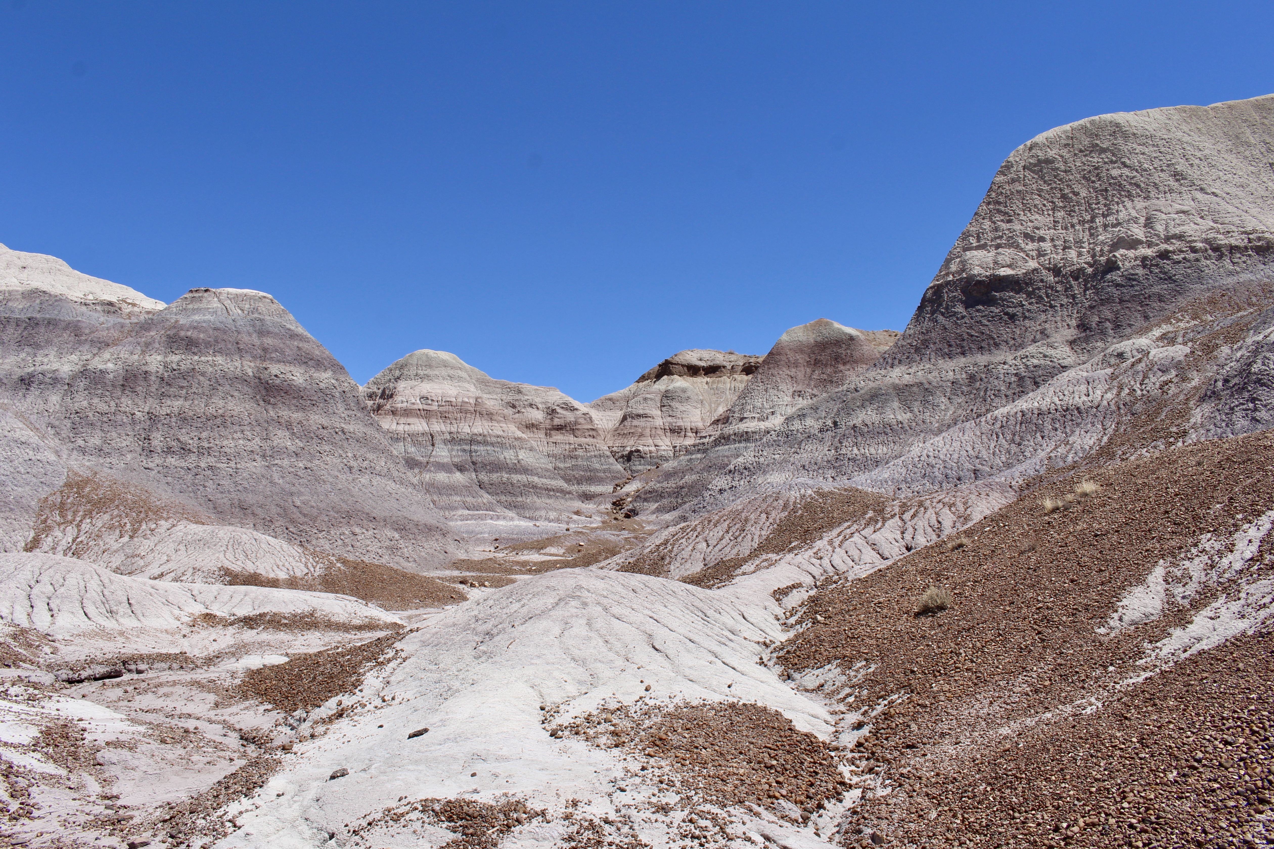 fullsizeoutput_151f2