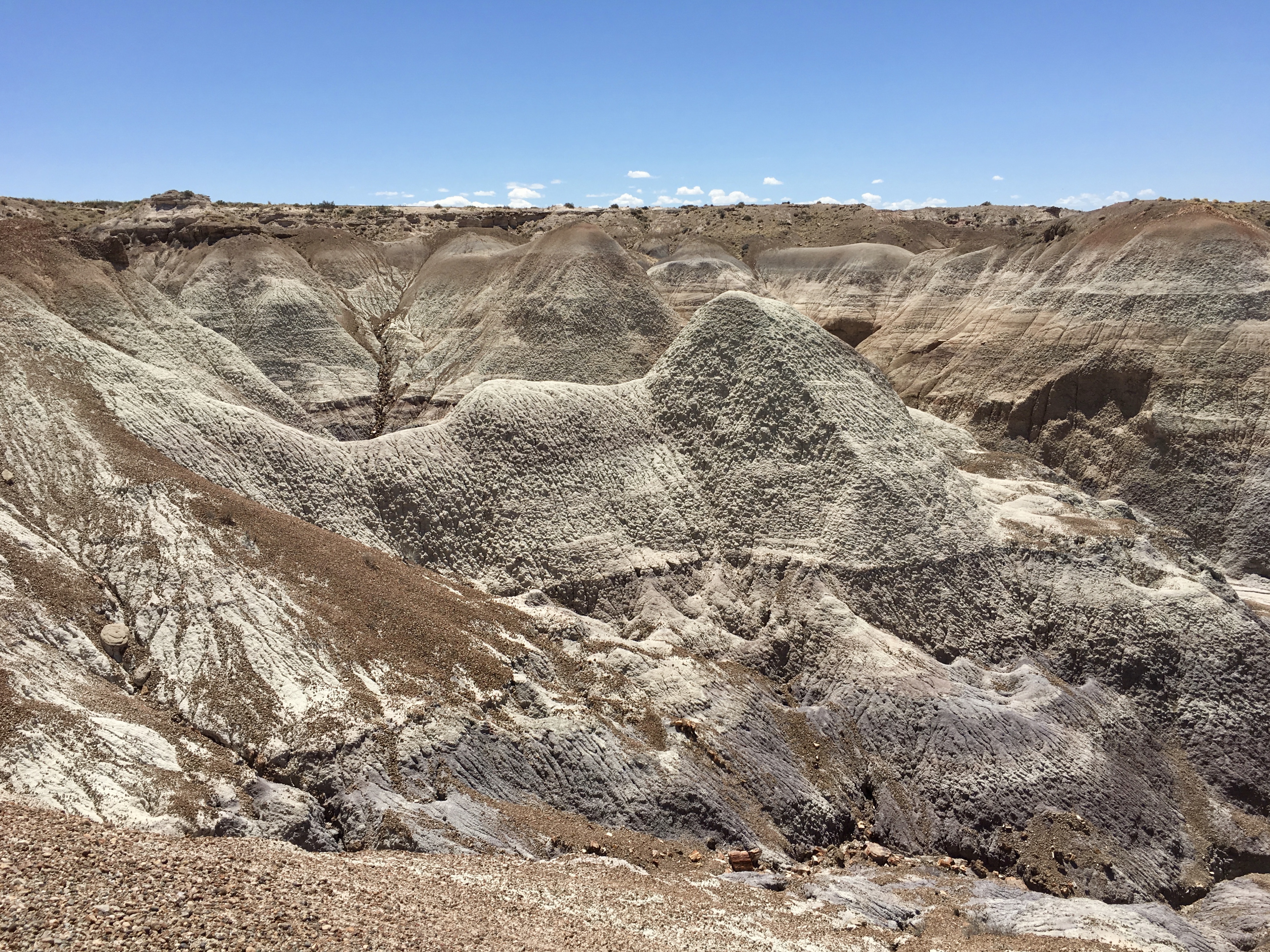 fullsizeoutput_1521b