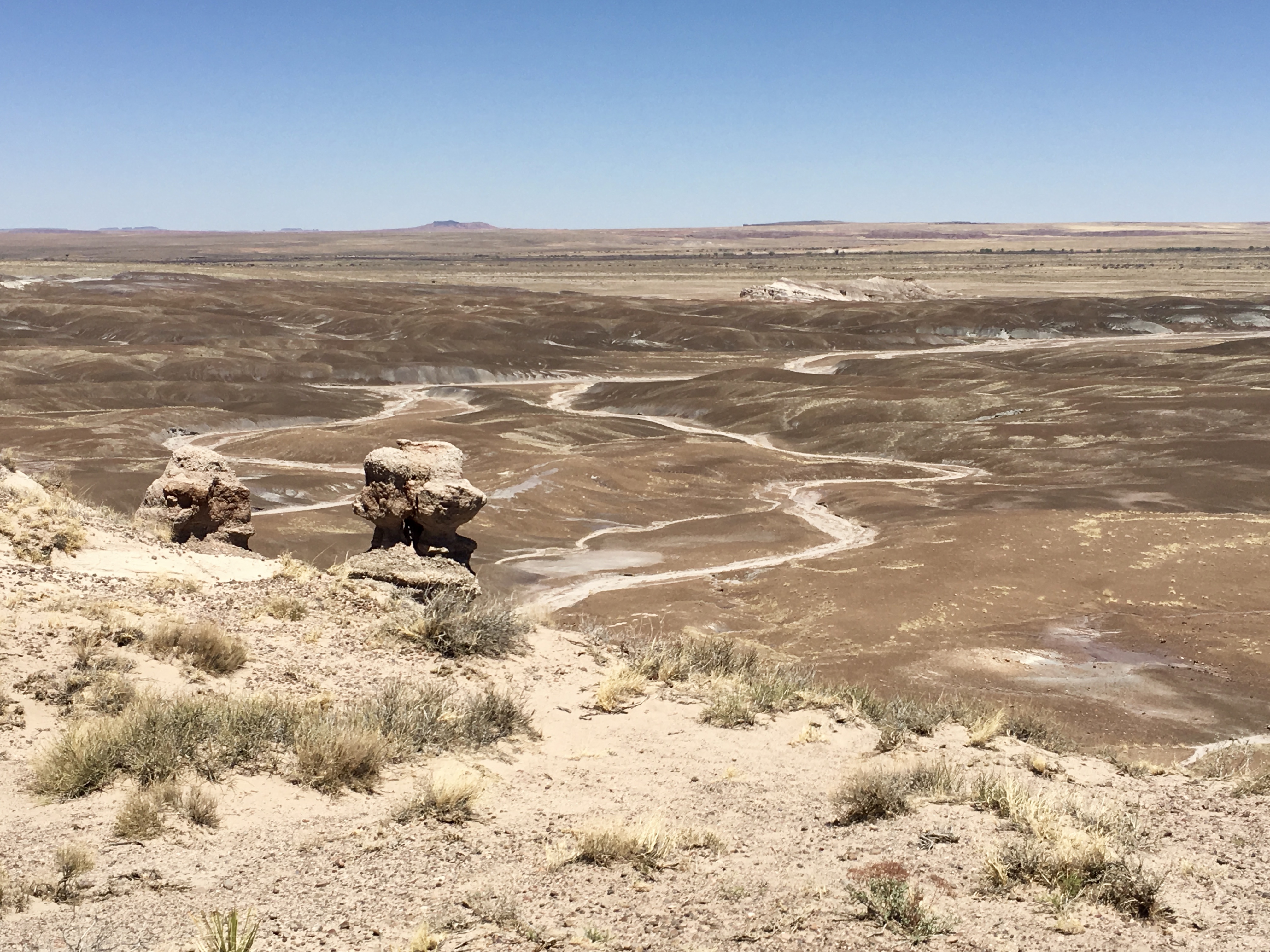 fullsizeoutput_15223