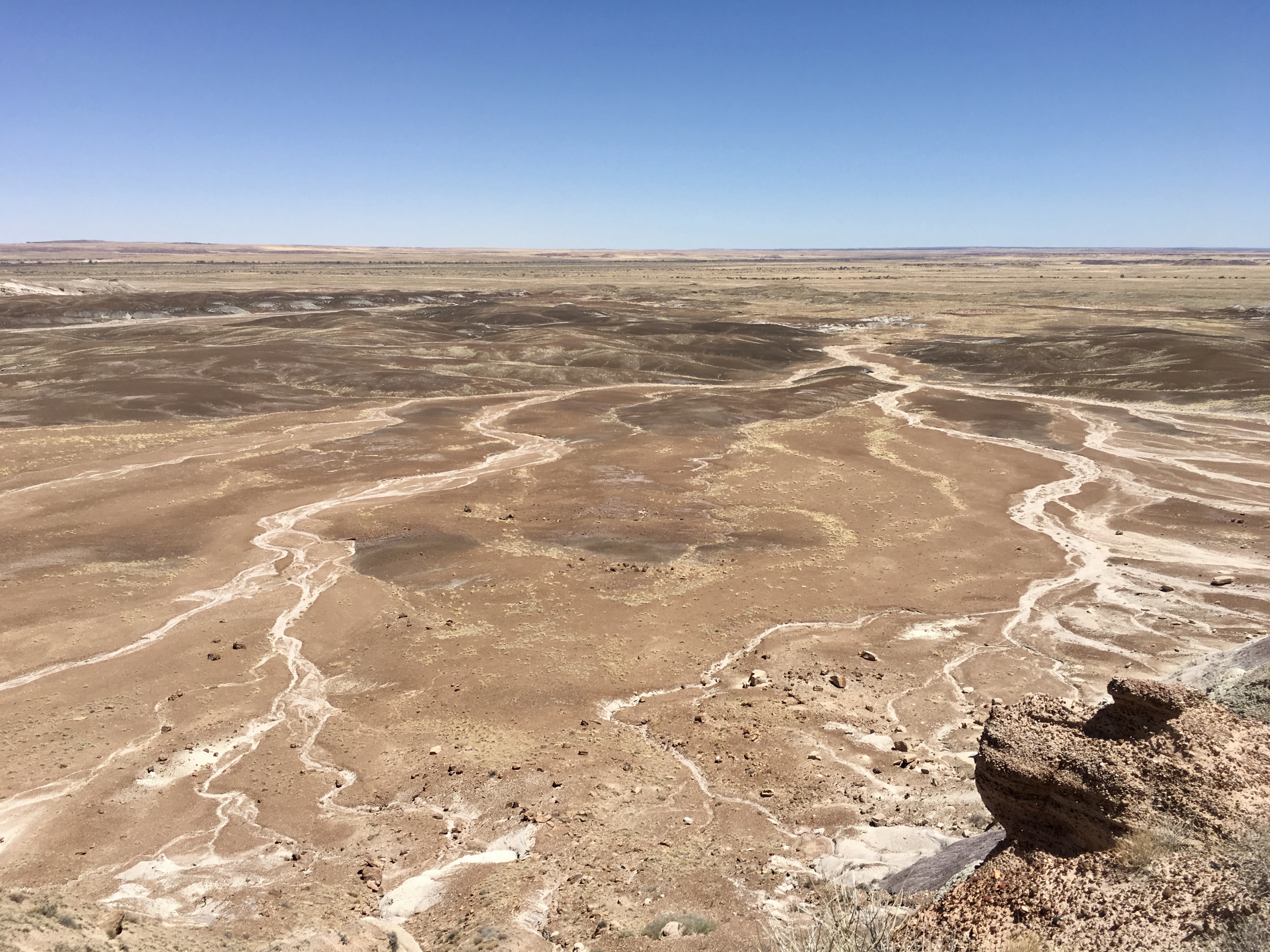 fullsizeoutput_15226