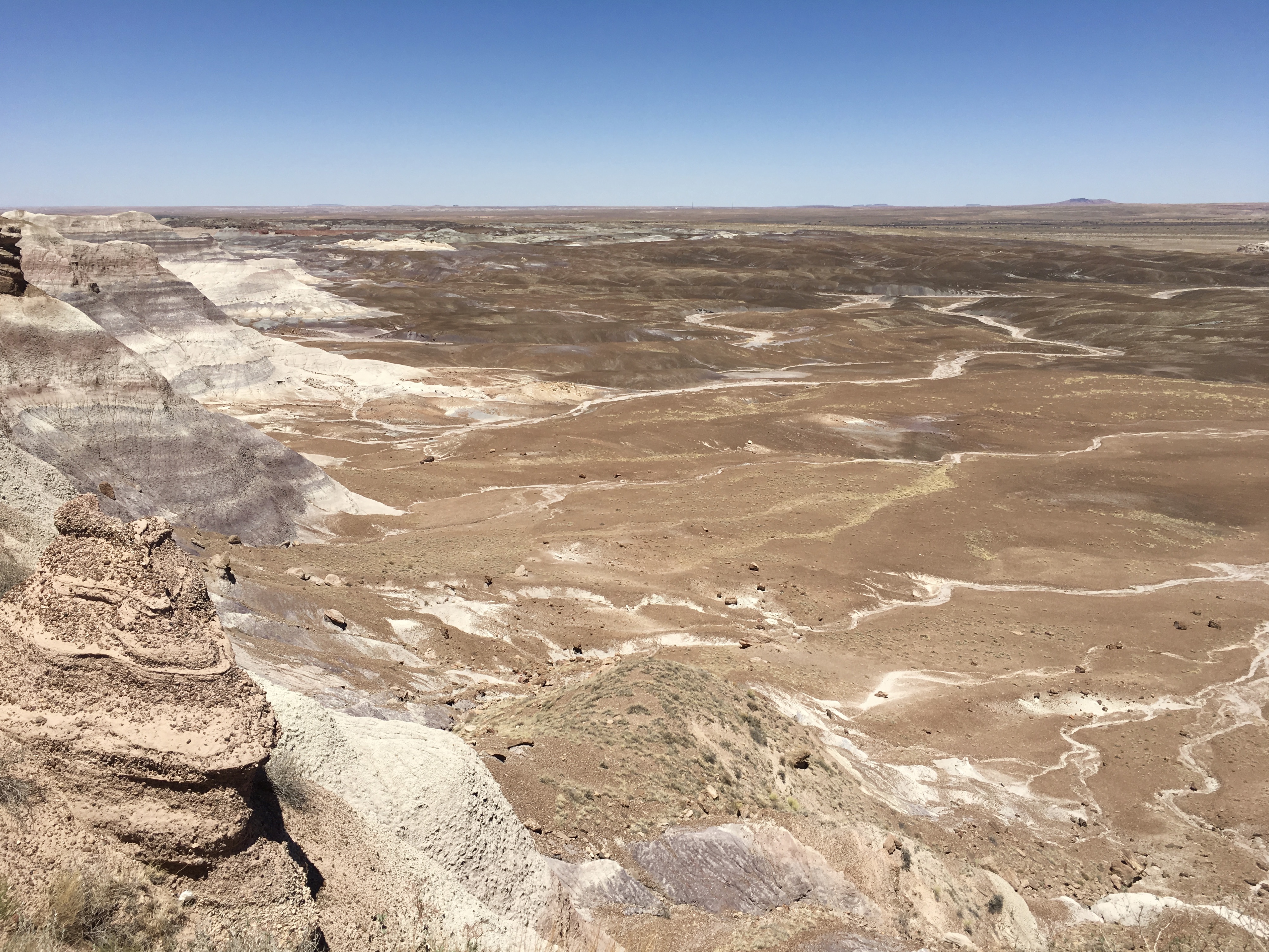 fullsizeoutput_15228