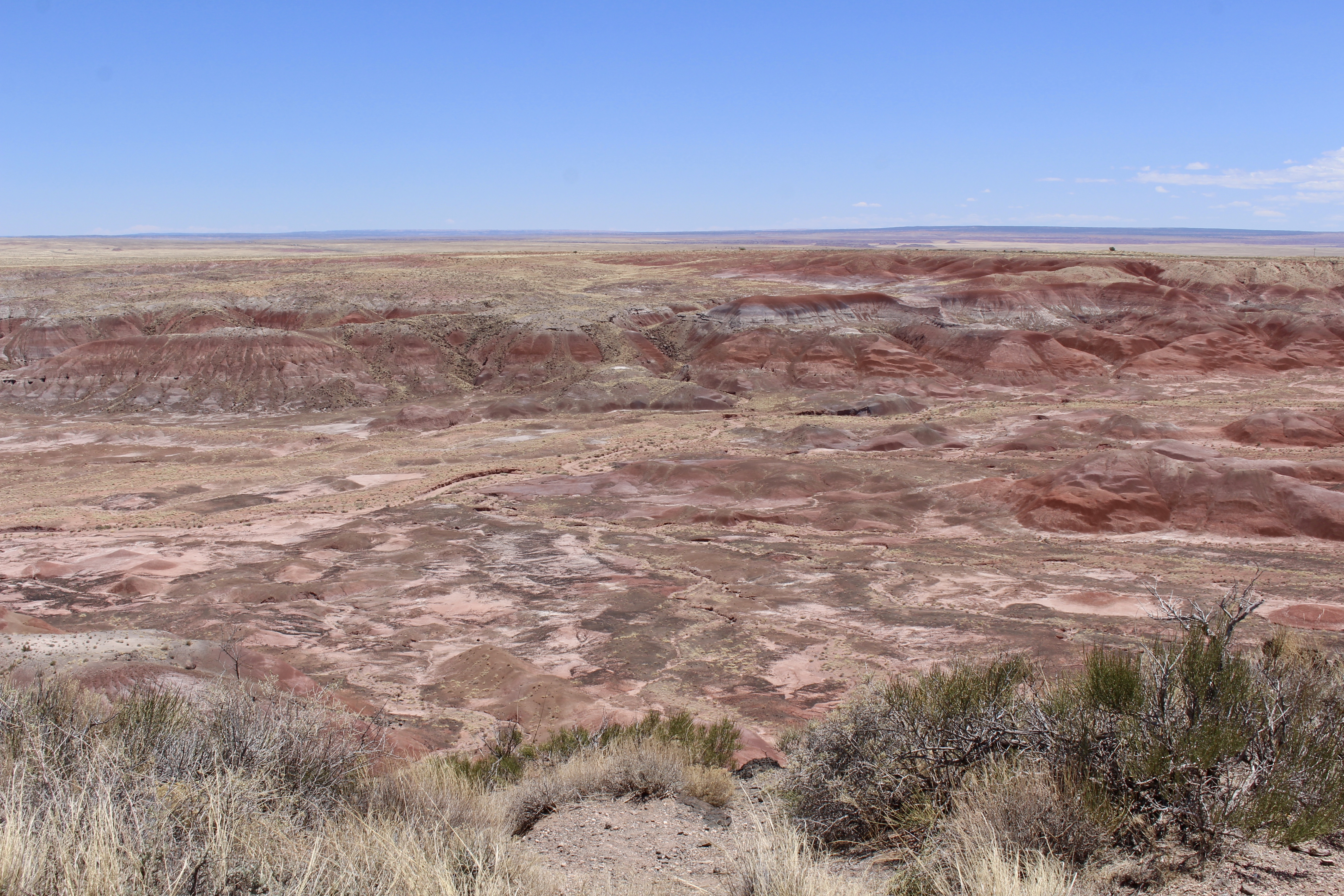 fullsizeoutput_1523b