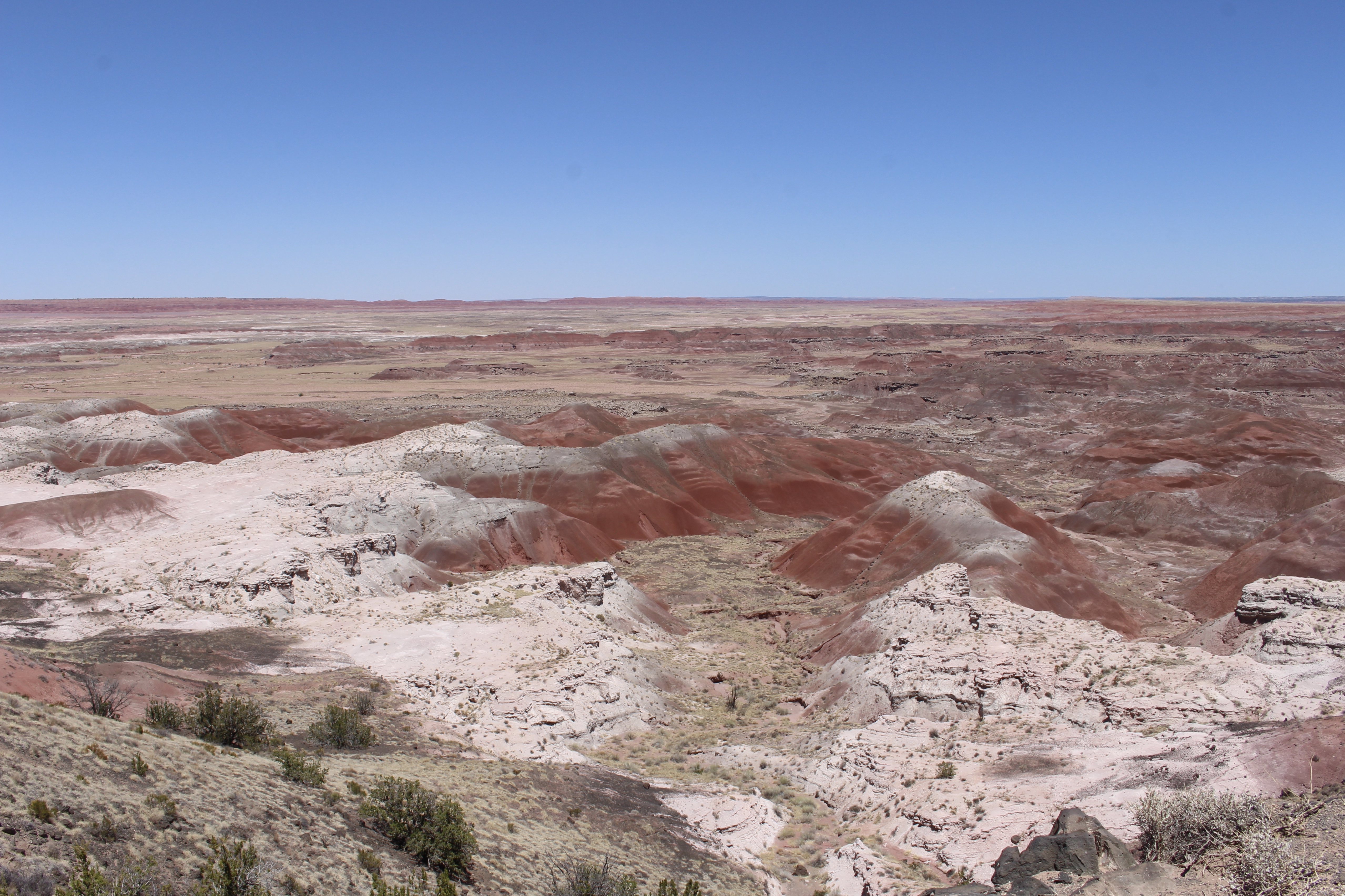 fullsizeoutput_1524b