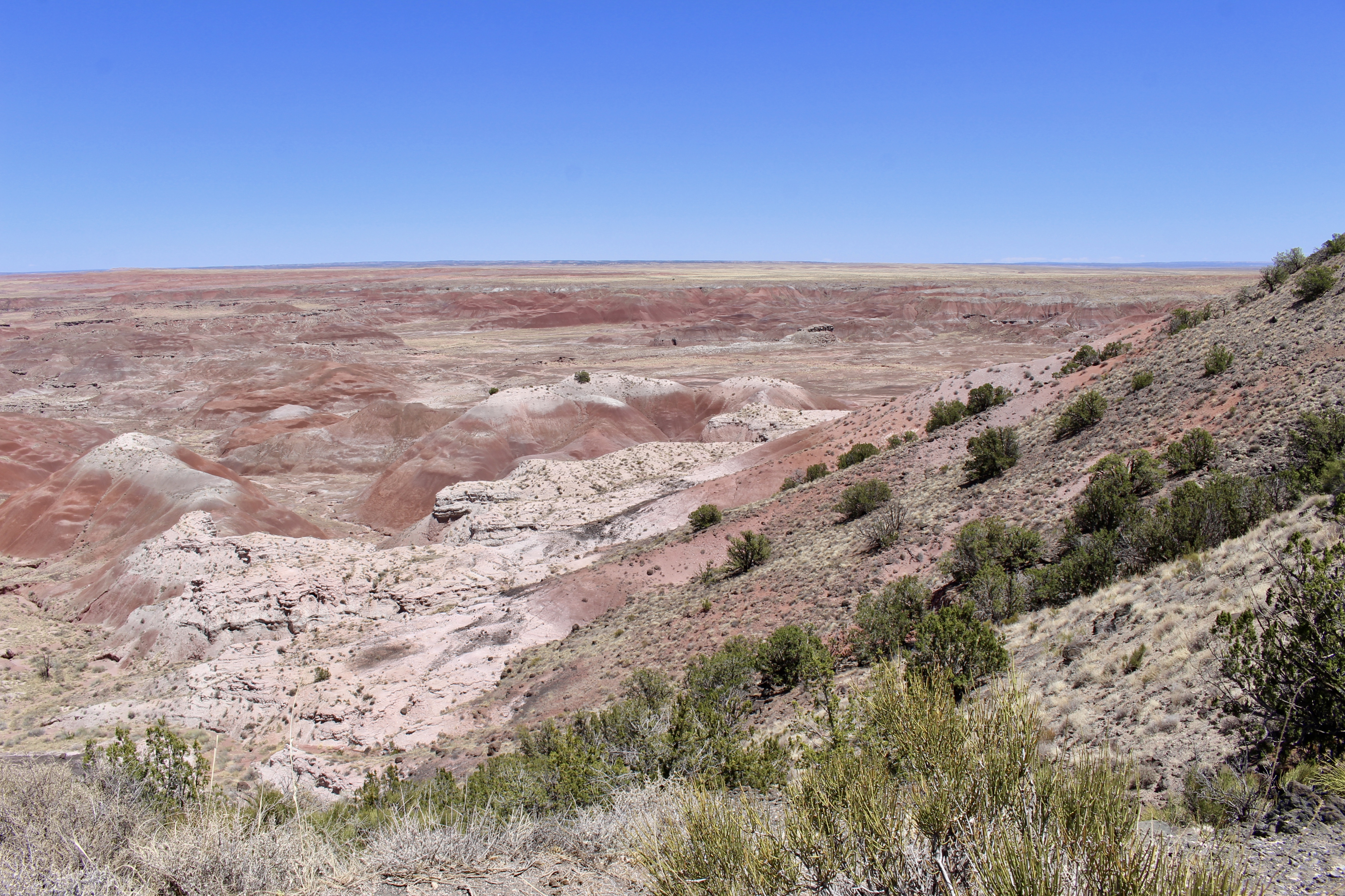 fullsizeoutput_1524e