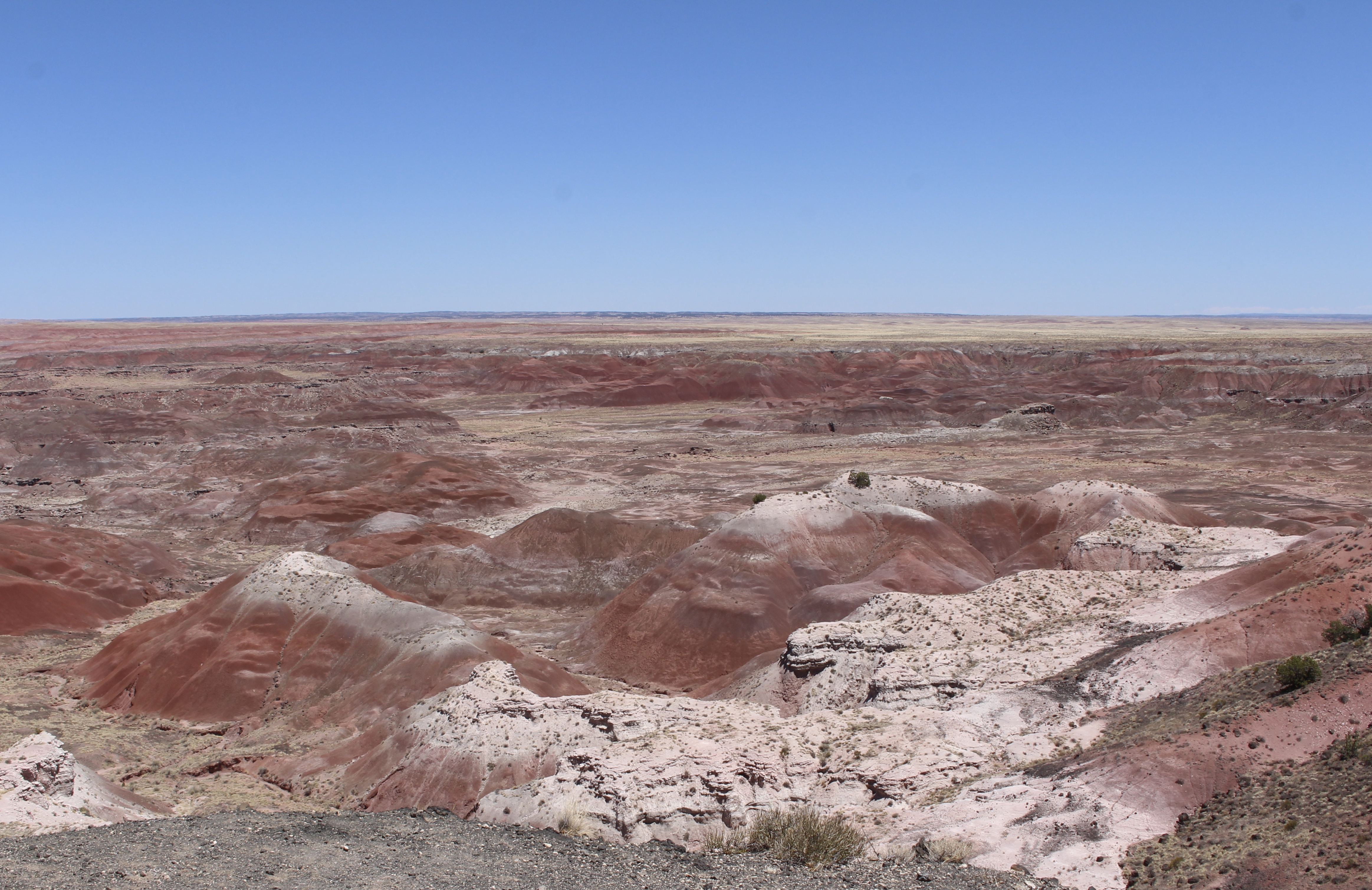 fullsizeoutput_15251