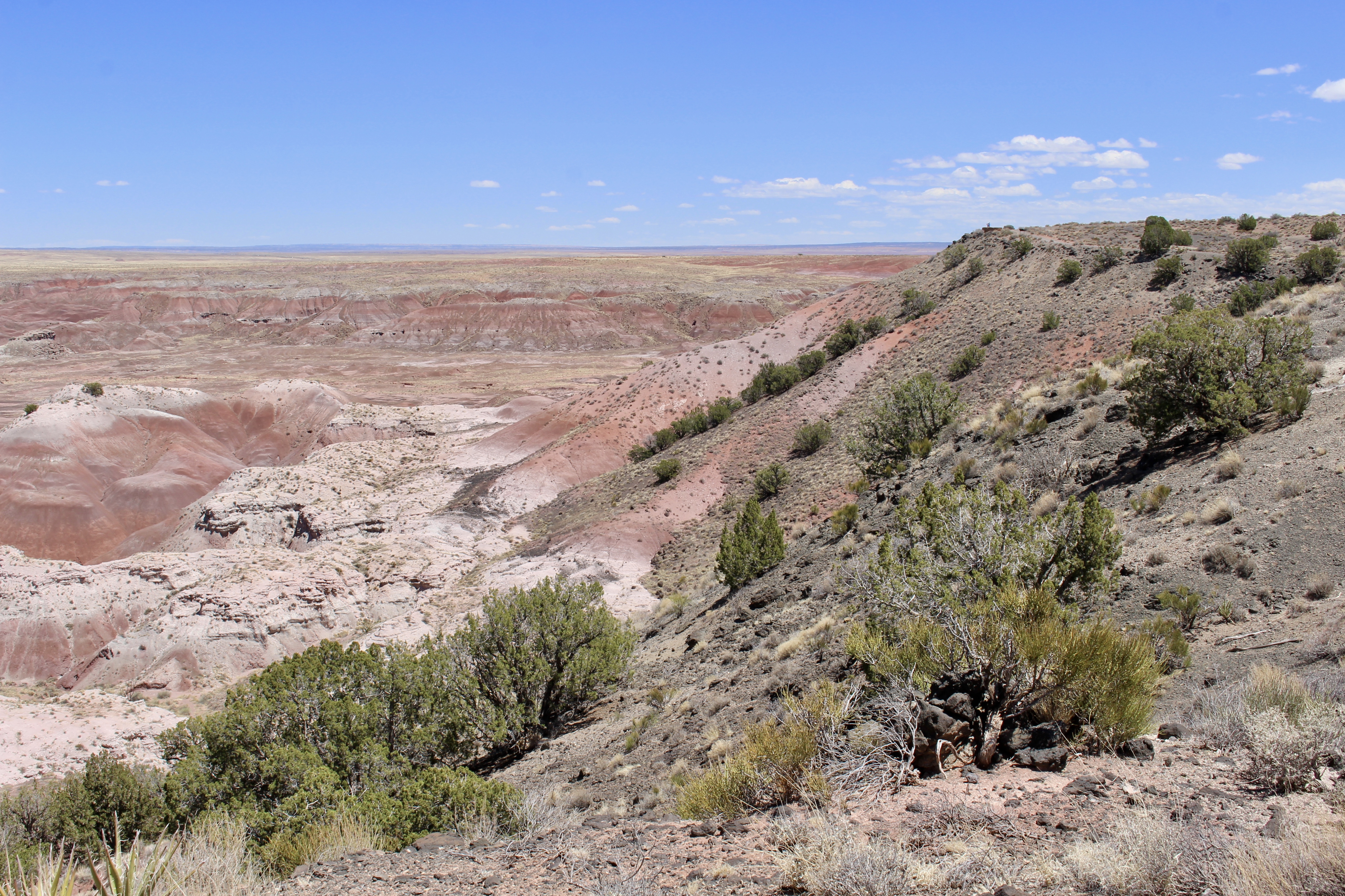 fullsizeoutput_1527e