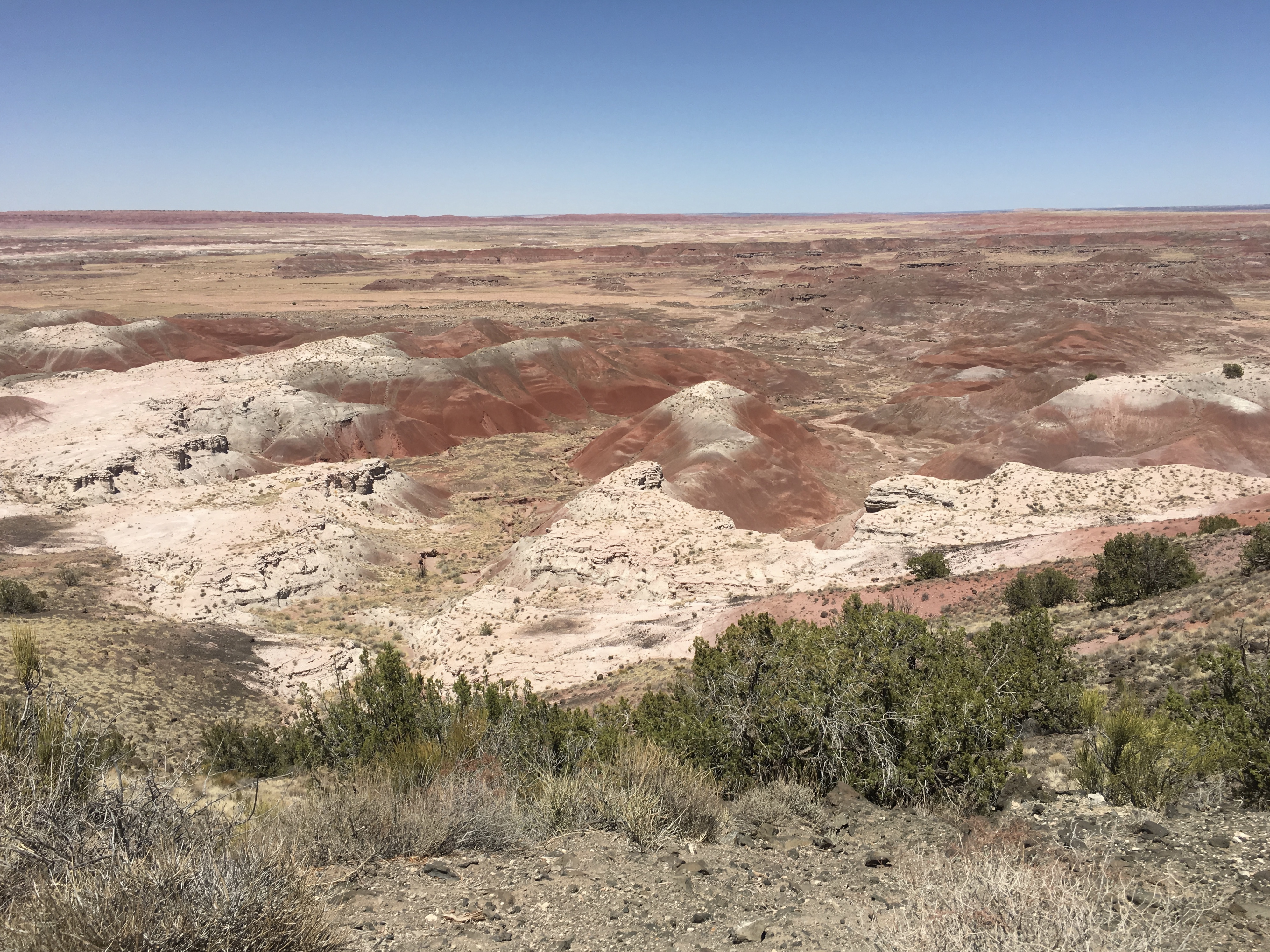 fullsizeoutput_15285