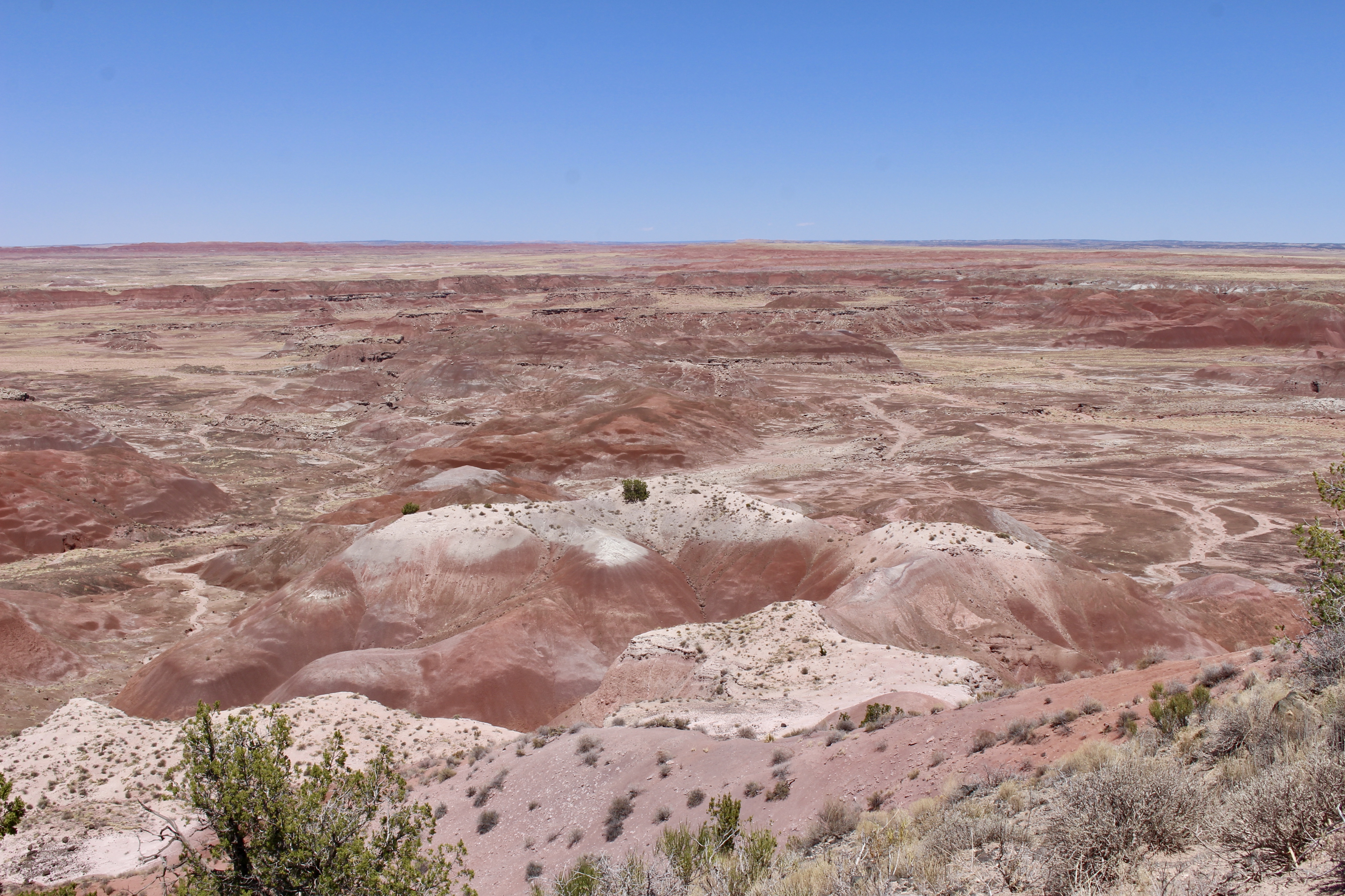 fullsizeoutput_15286