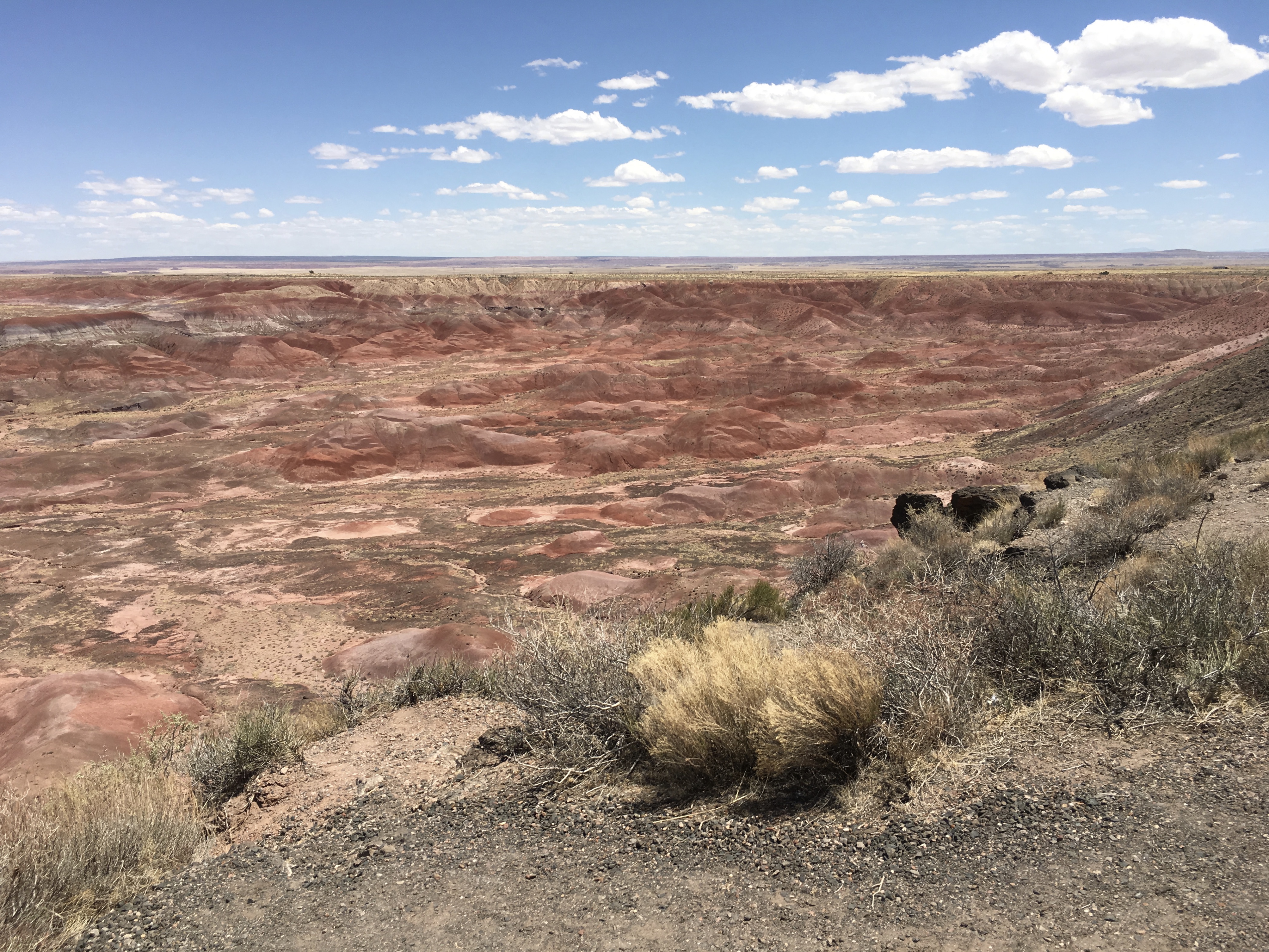 fullsizeoutput_15289