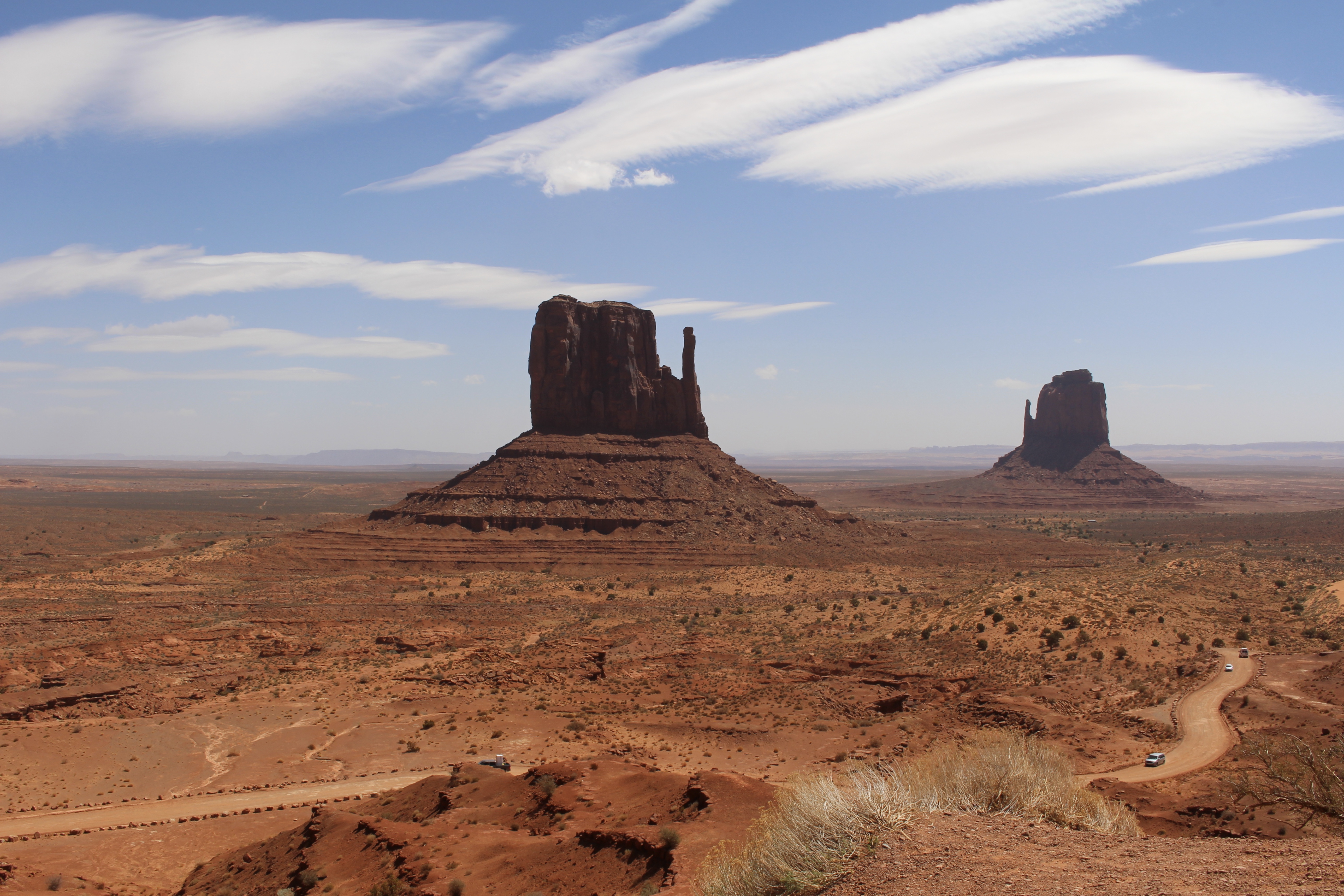 fullsizeoutput_15393