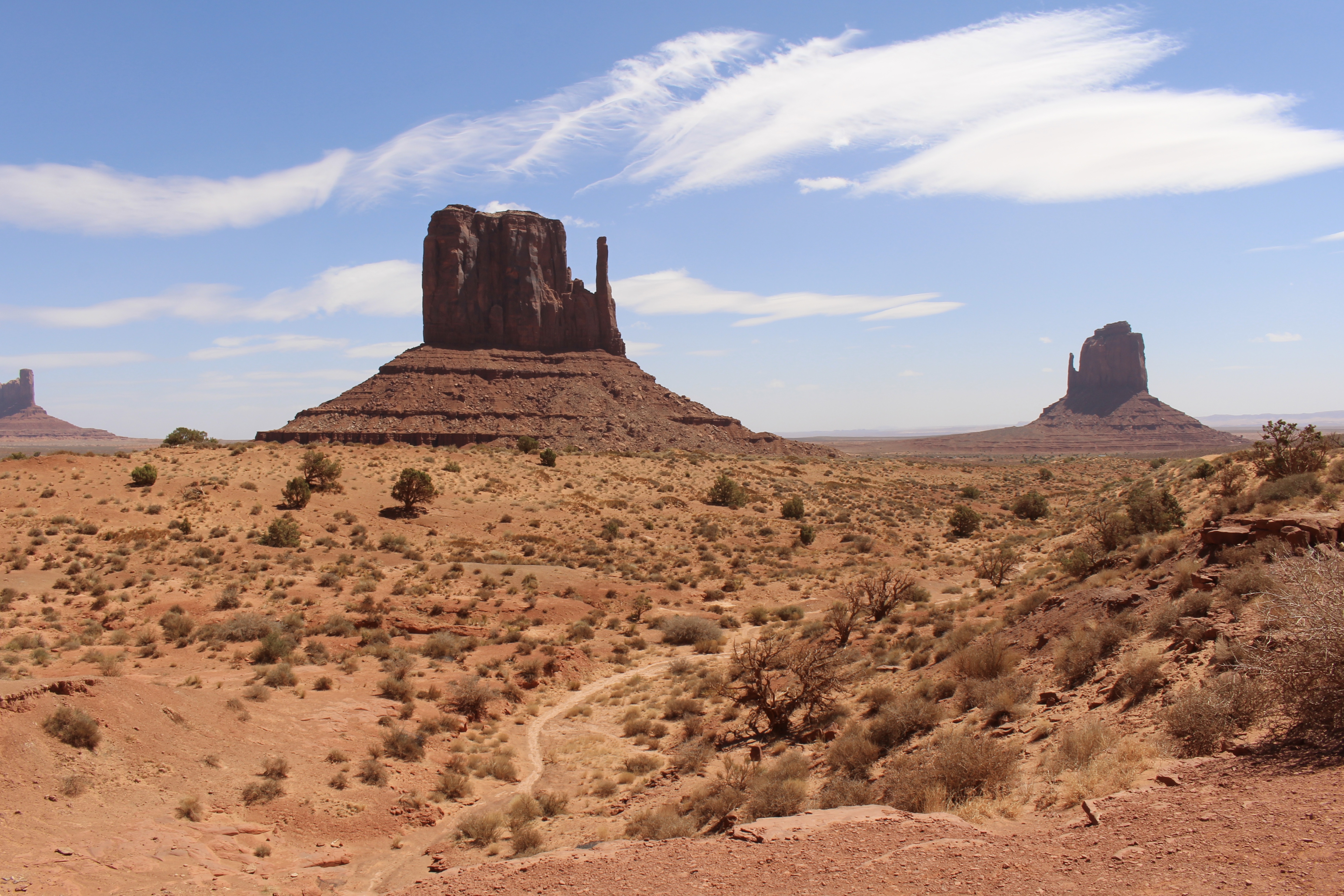 fullsizeoutput_15394