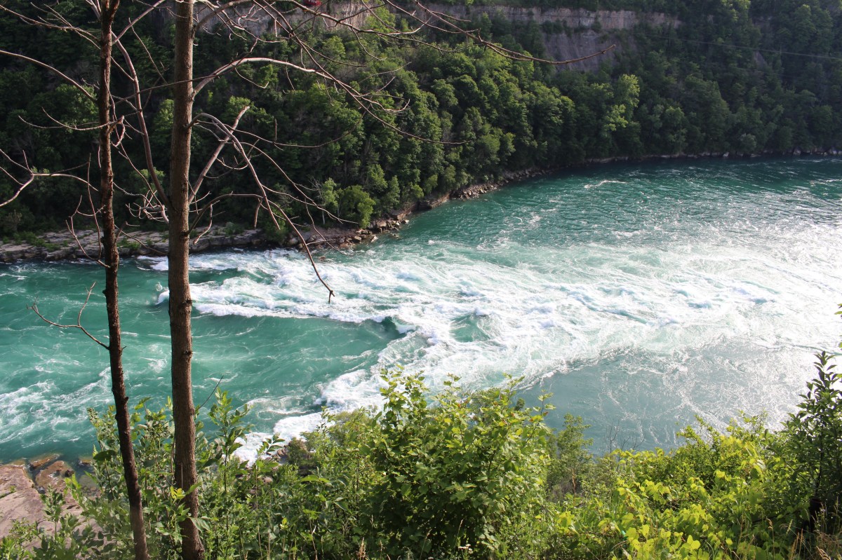 fullsizeoutput_15daa