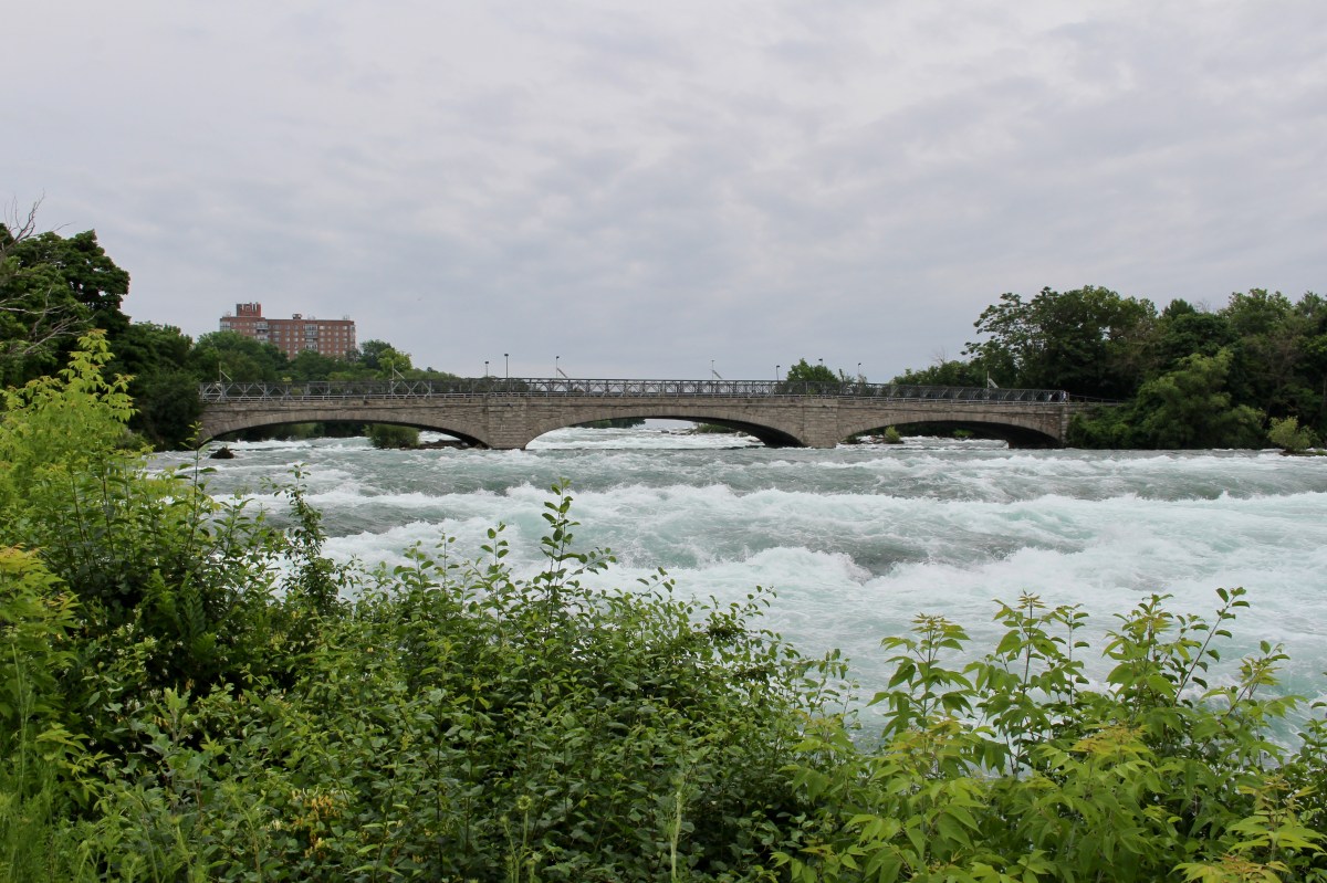 fullsizeoutput_15dc6