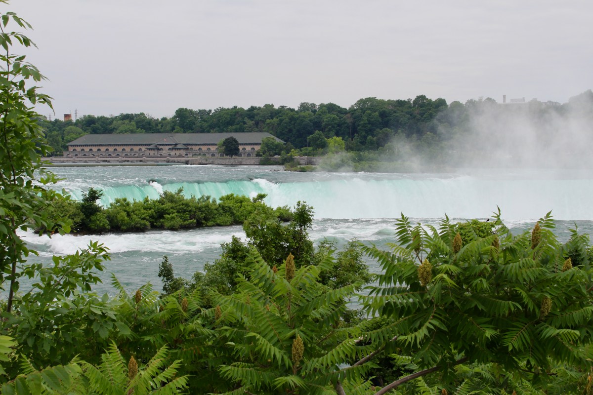 fullsizeoutput_15e00