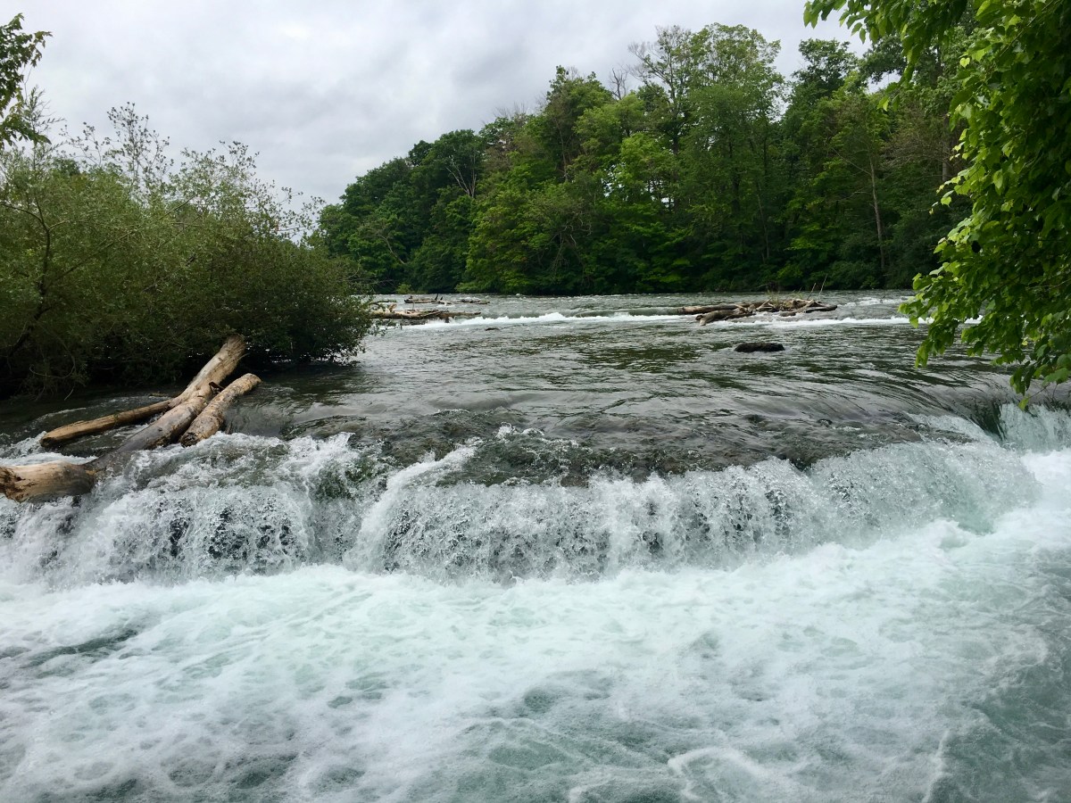 fullsizeoutput_15e14