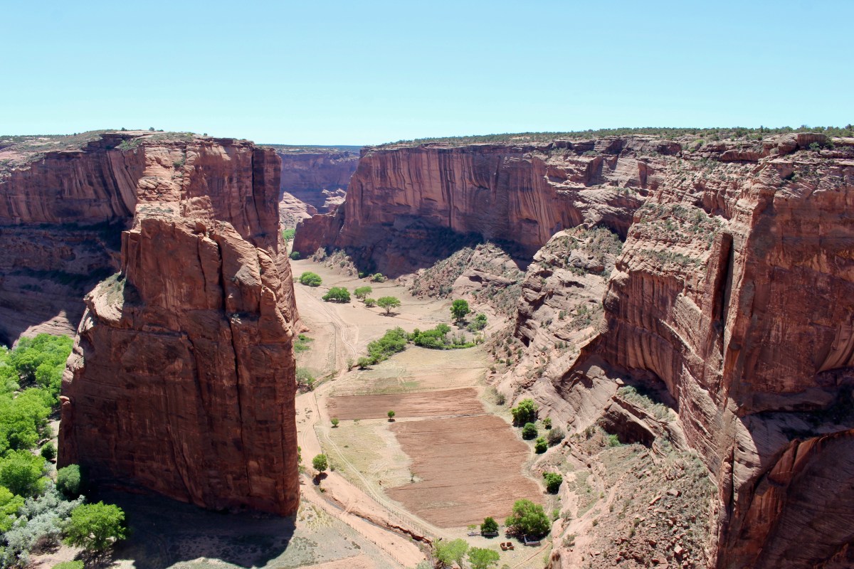 fullsizeoutput_152b6