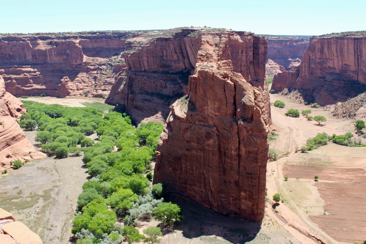 fullsizeoutput_152b8