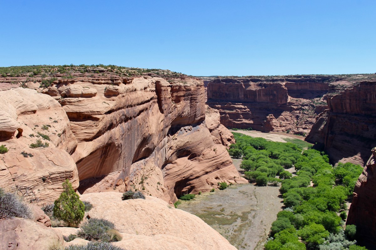 fullsizeoutput_152ba