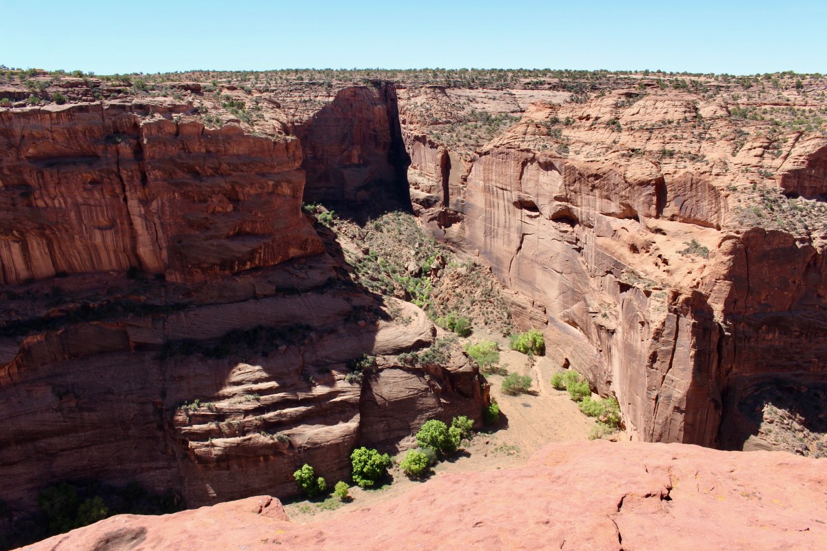 fullsizeoutput_152bd