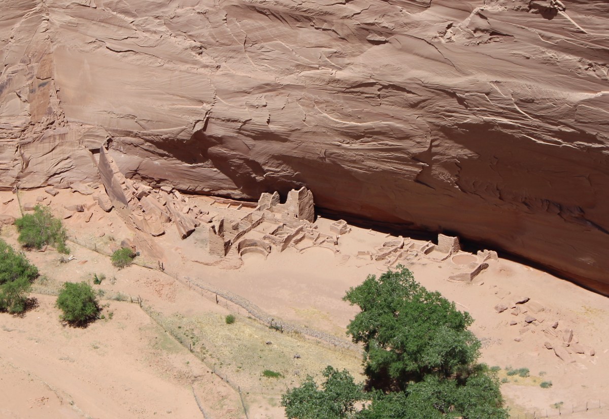 fullsizeoutput_152d0