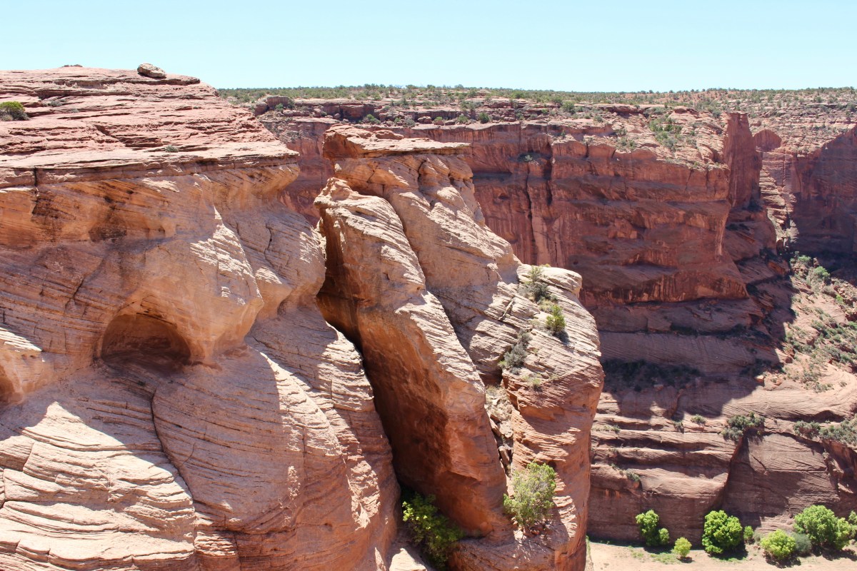 fullsizeoutput_152d5