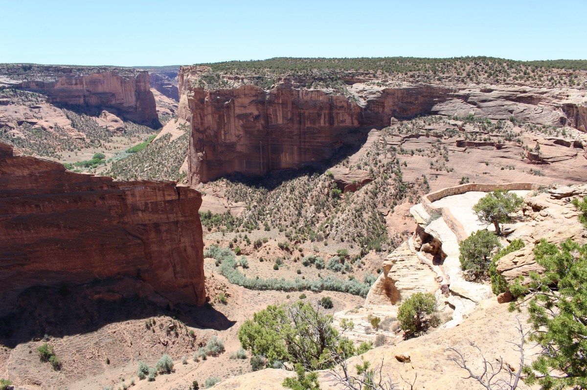 fullsizeoutput_152e5