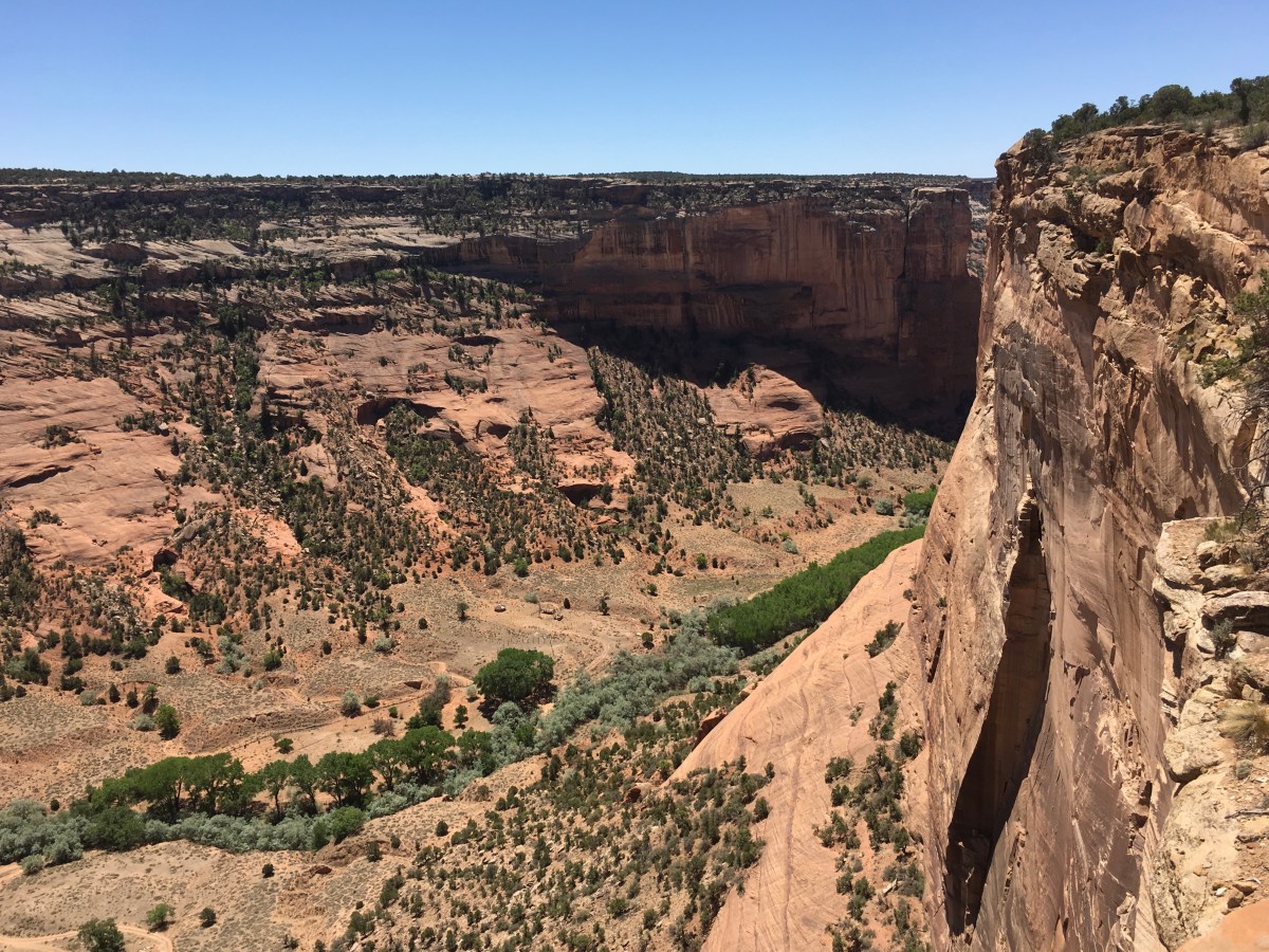 fullsizeoutput_152f0