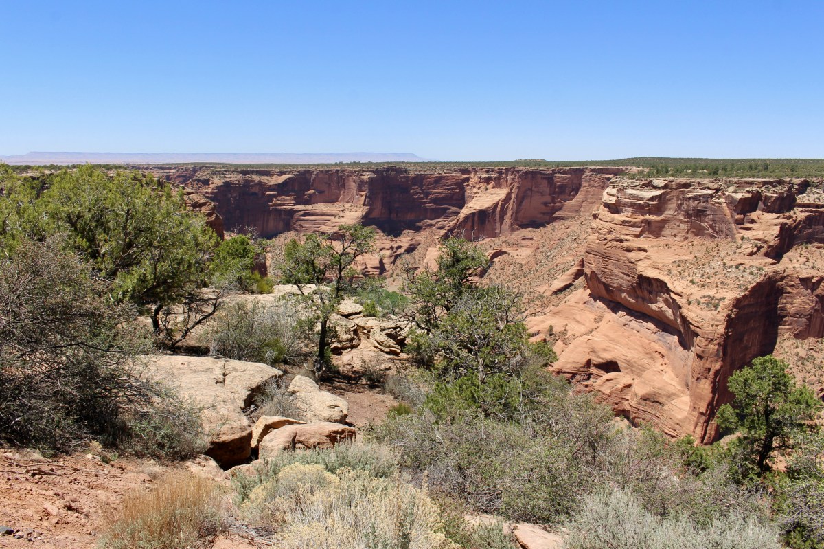 fullsizeoutput_152f1