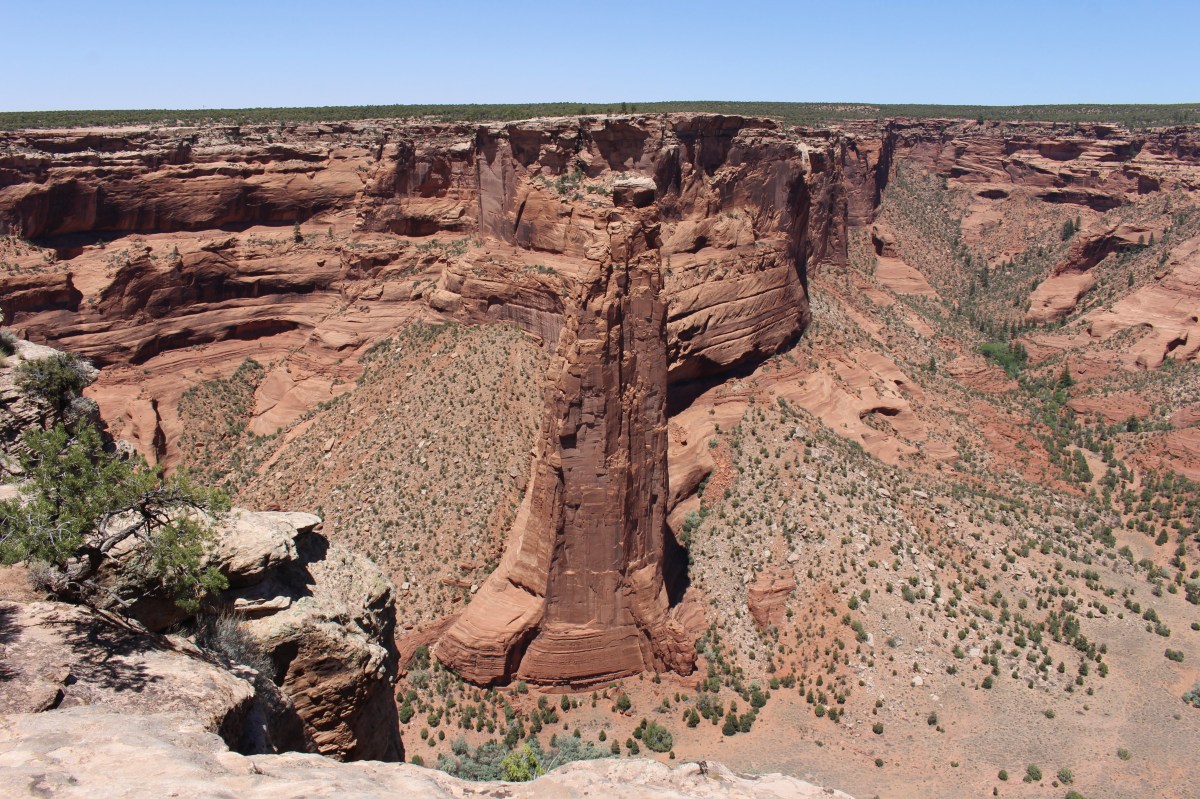 fullsizeoutput_152fd