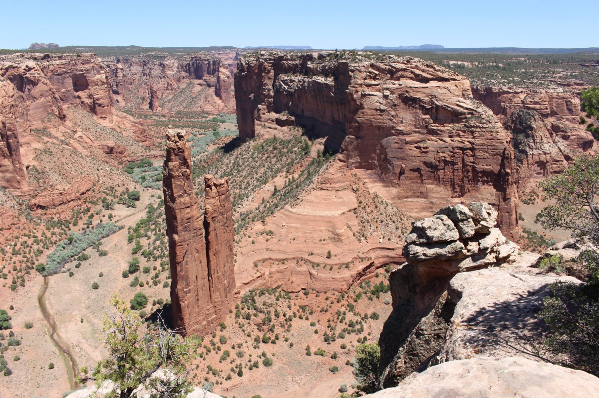 fullsizeoutput_15308