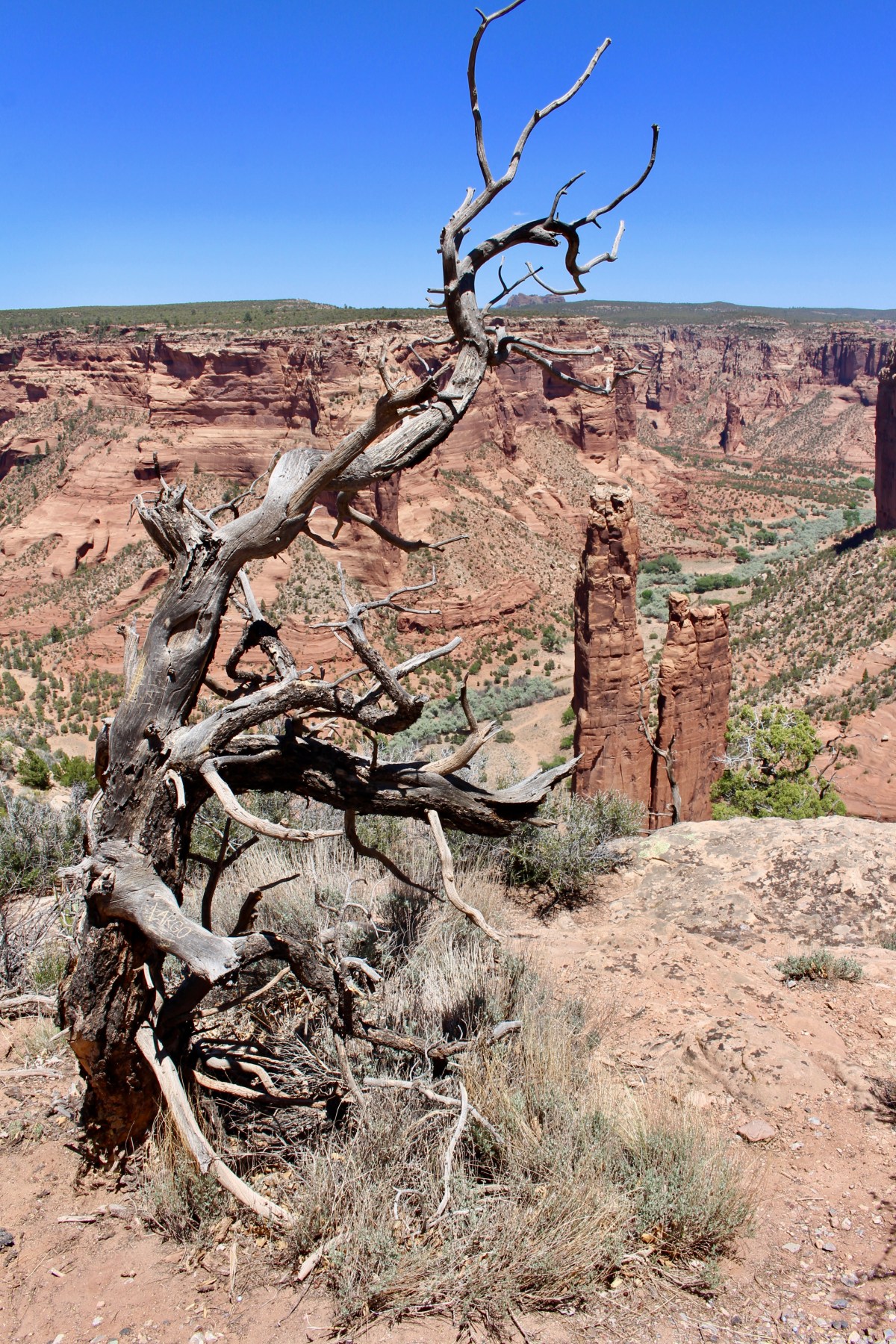 fullsizeoutput_1530c