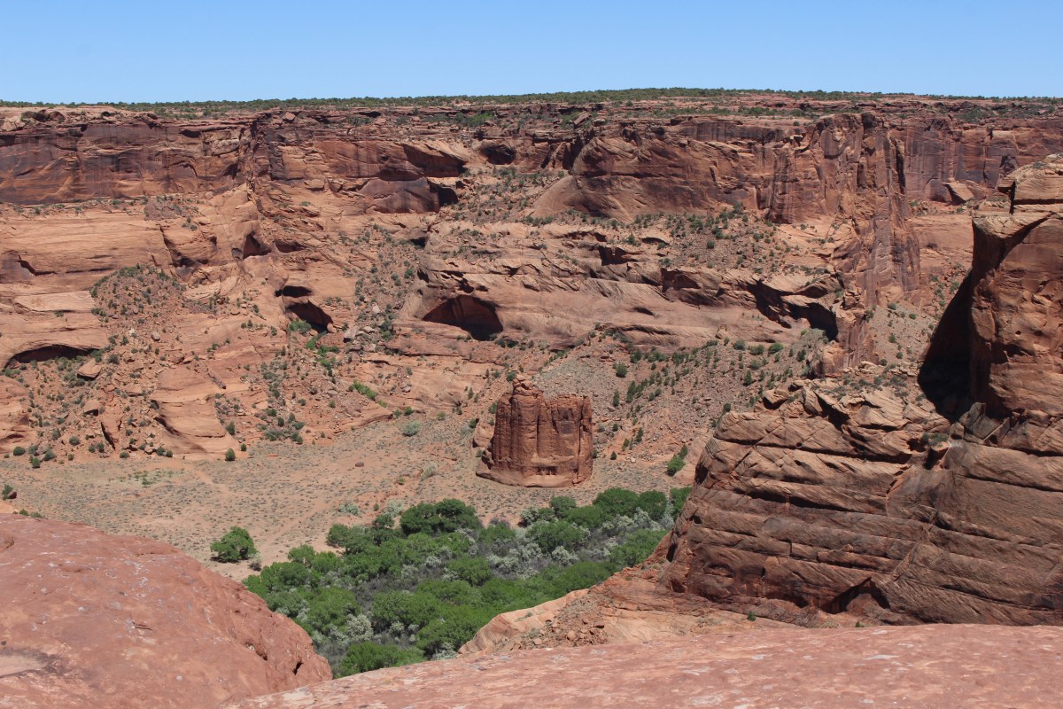 fullsizeoutput_1531e