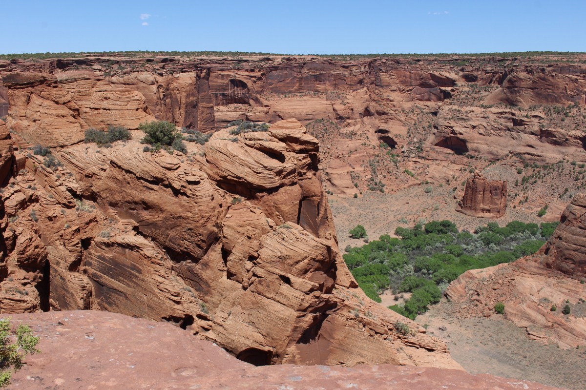 fullsizeoutput_15320