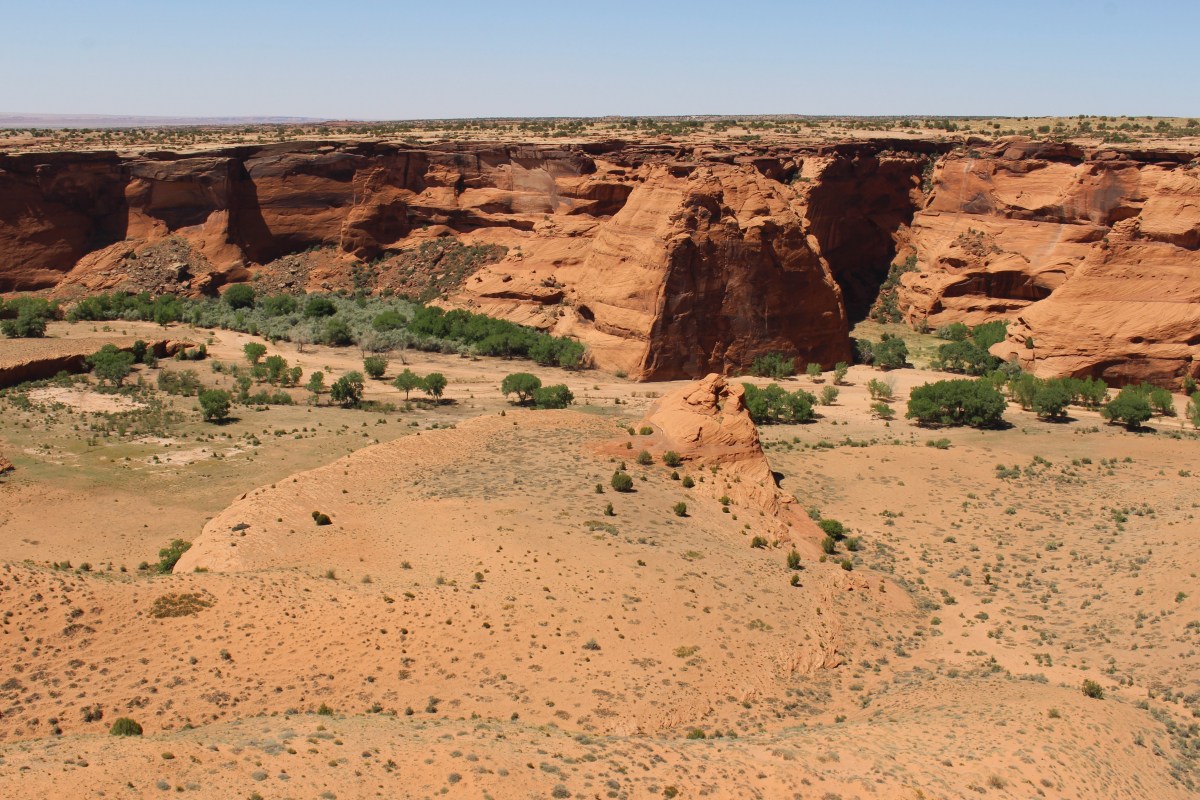 fullsizeoutput_15339