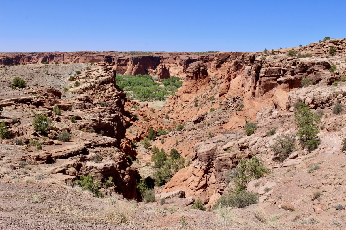 fullsizeoutput_15352