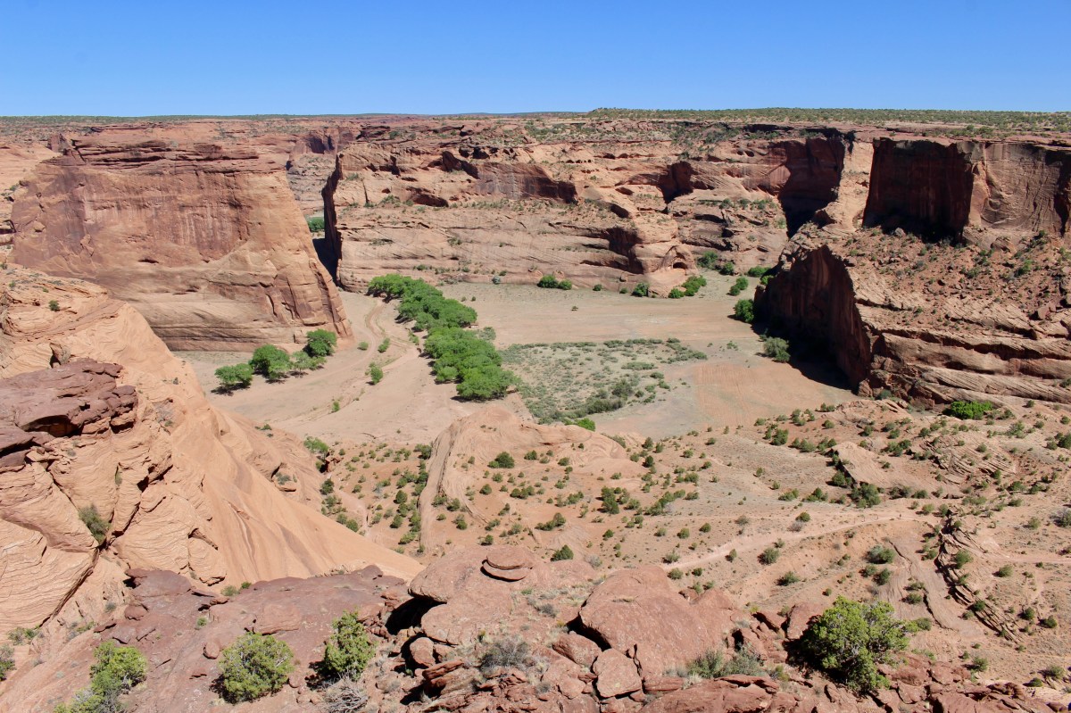 fullsizeoutput_15357