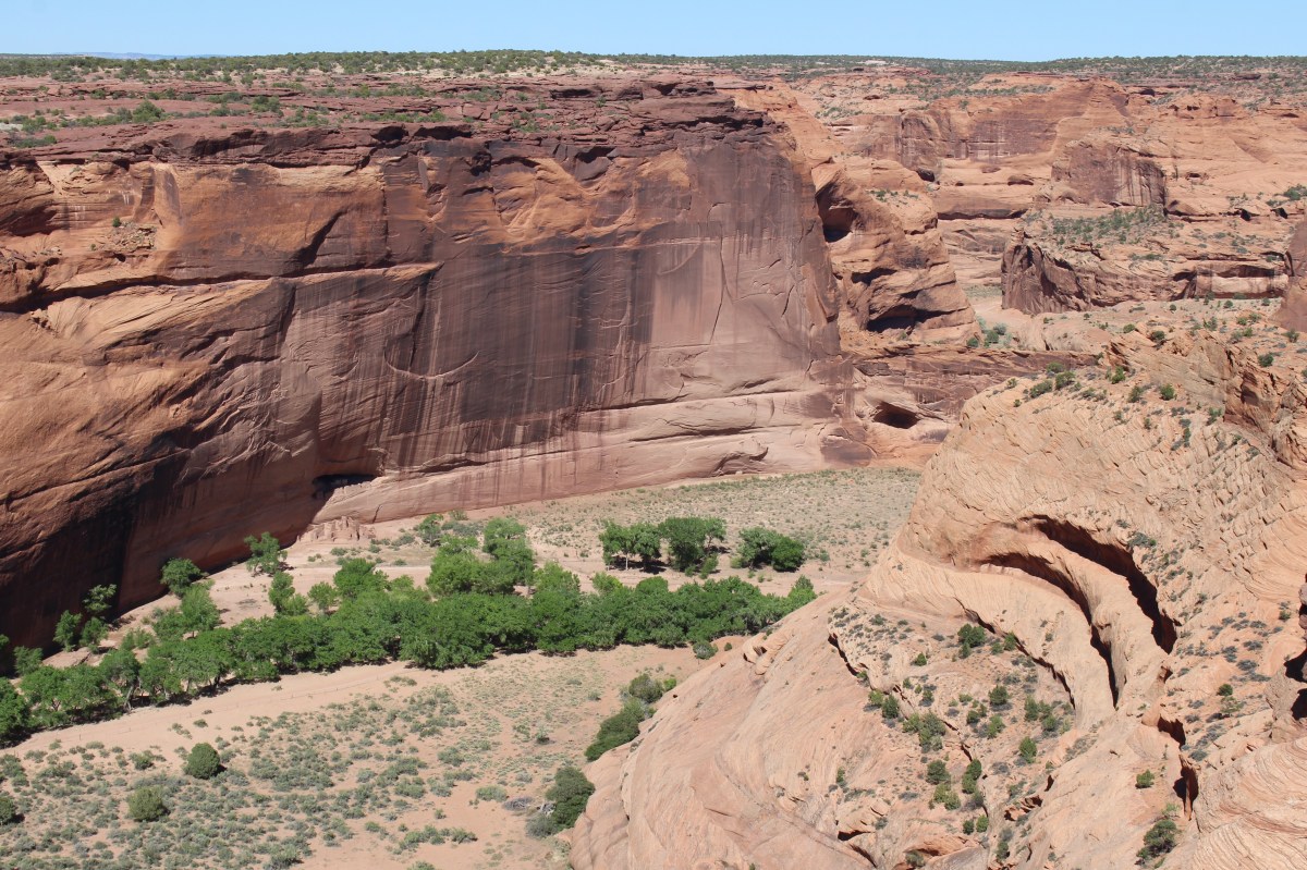 fullsizeoutput_1535f