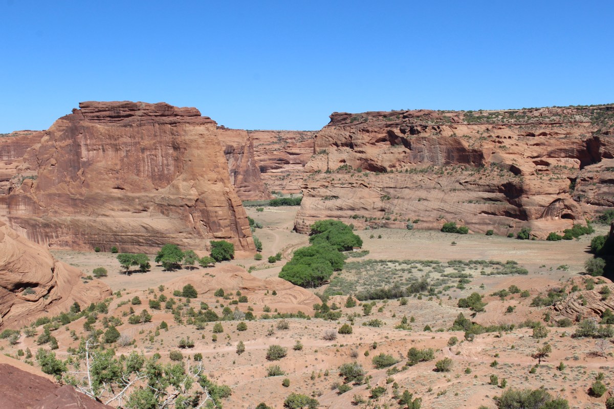 fullsizeoutput_1536c