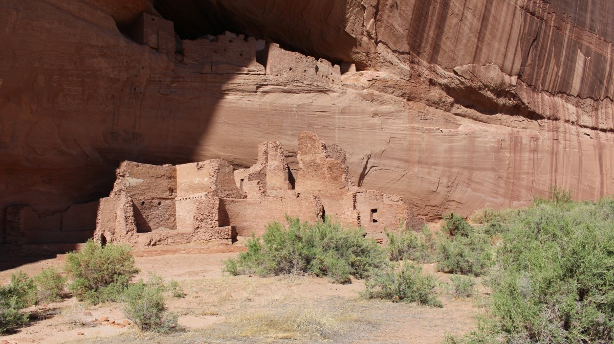 fullsizeoutput_1536f