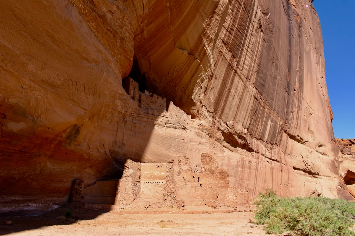 fullsizeoutput_15373