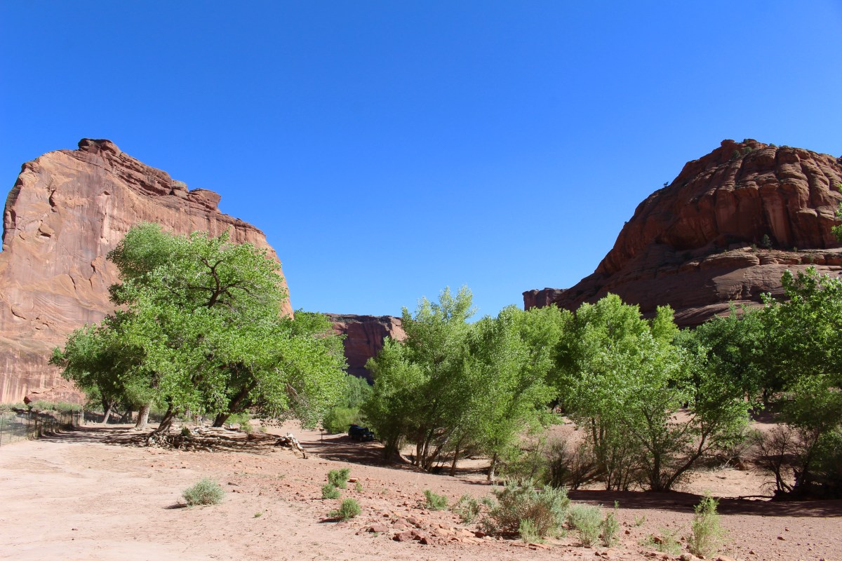 fullsizeoutput_15375